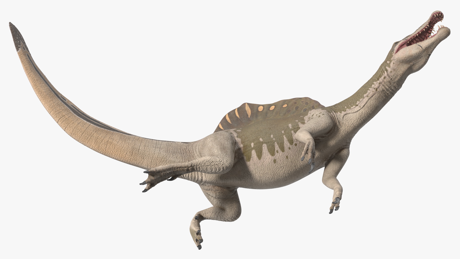 3D Spinosaurus Dinosaur Yellow Swimming Pose
