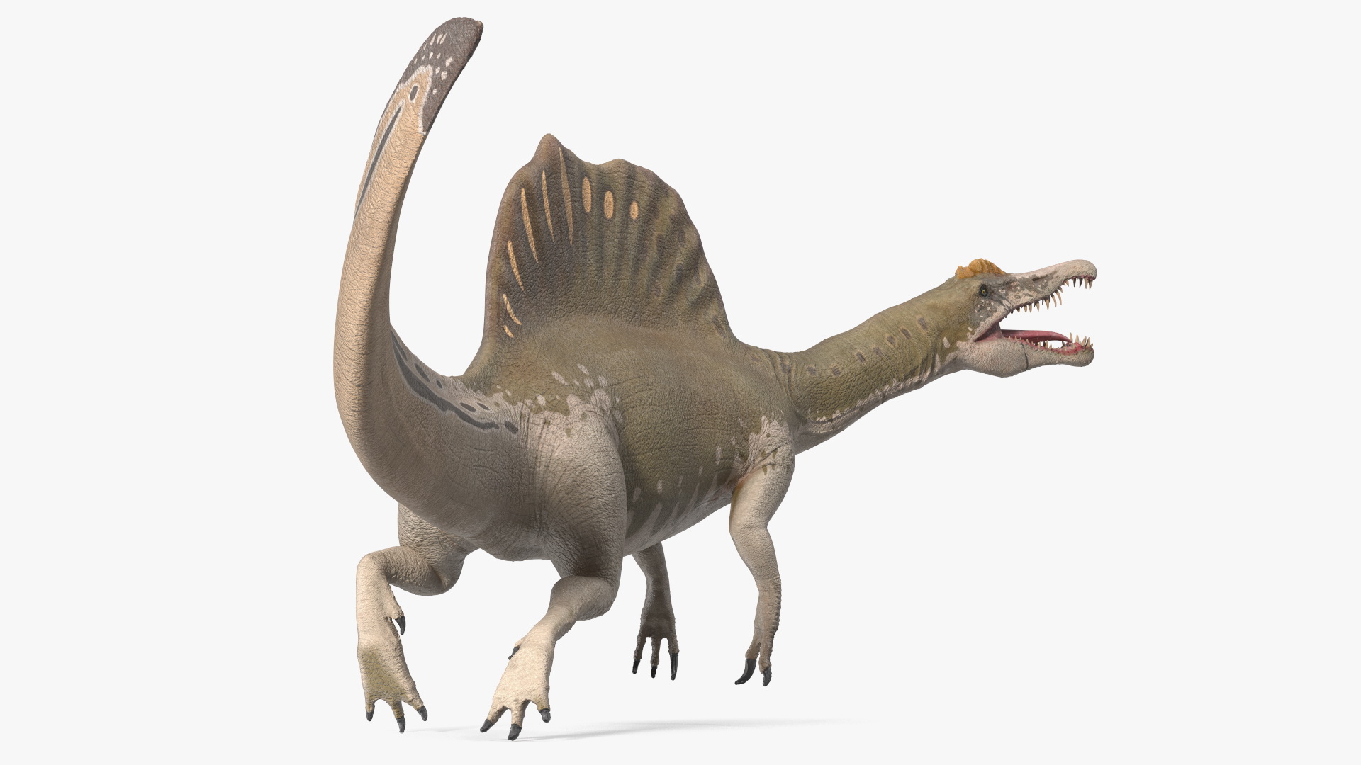 3D Spinosaurus Dinosaur Yellow Swimming Pose