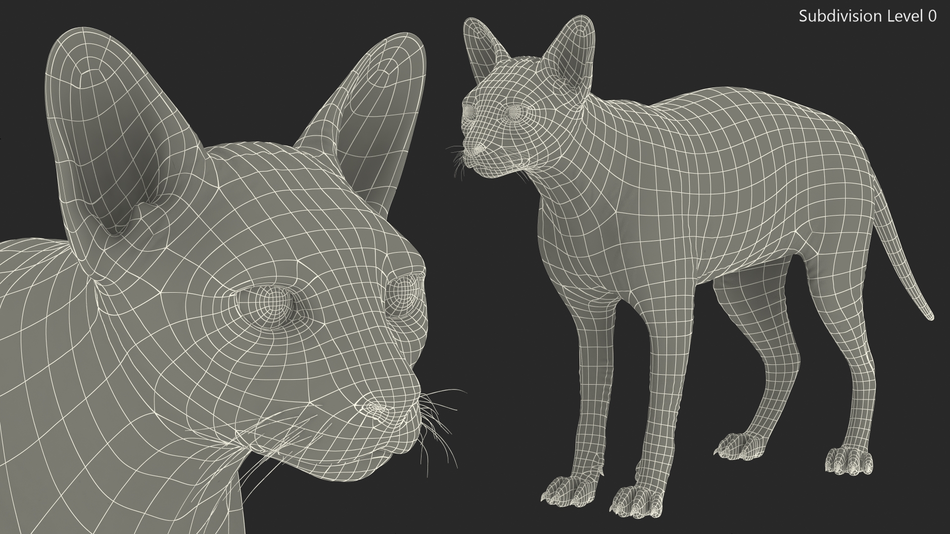 3D Sphynx Cat Solid Color Black model