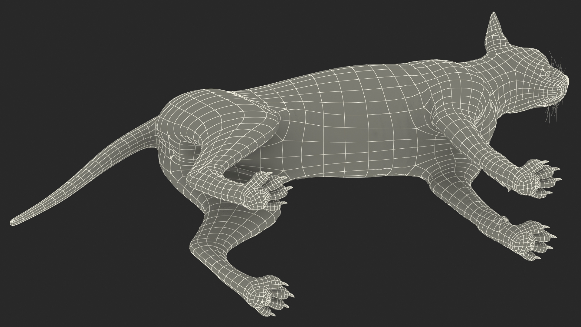 3D Sphynx Cat Solid Color Black model