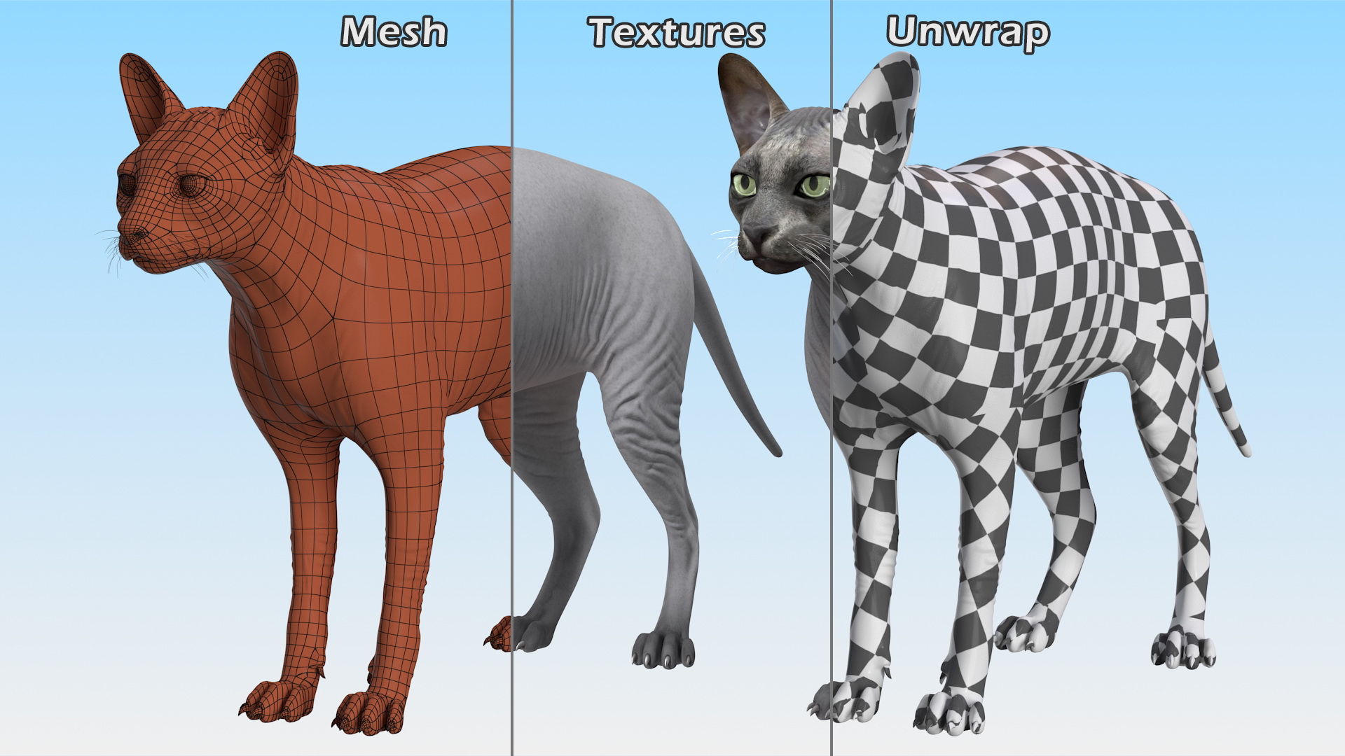 3D Sphynx Cat Solid Color Black model