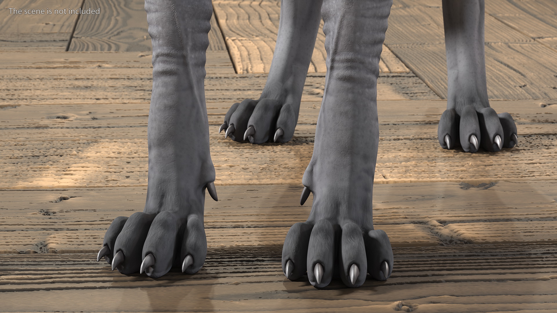 3D Sphynx Cat Solid Color Black model