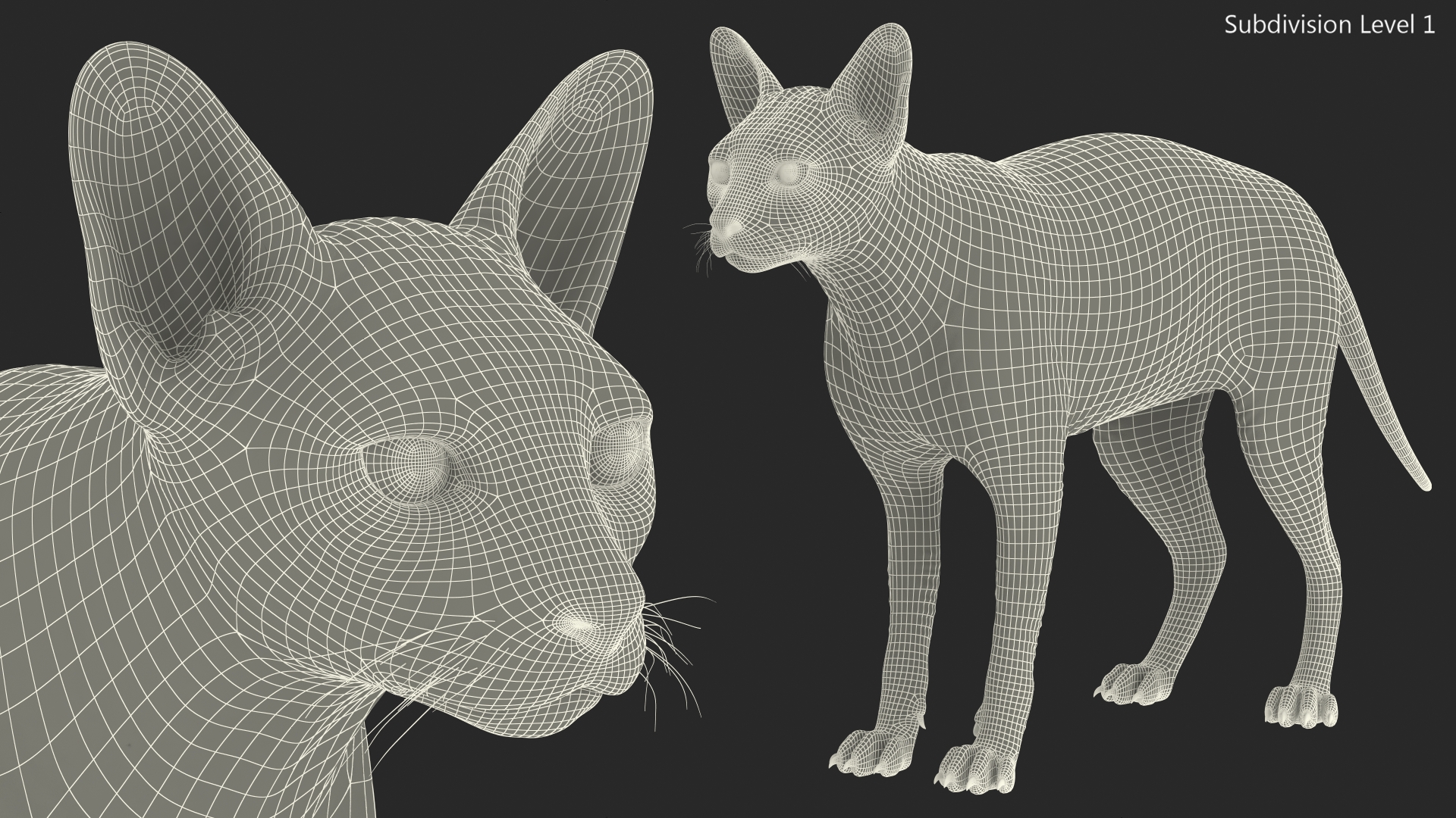 3D Sphynx Cat Solid Color Black model