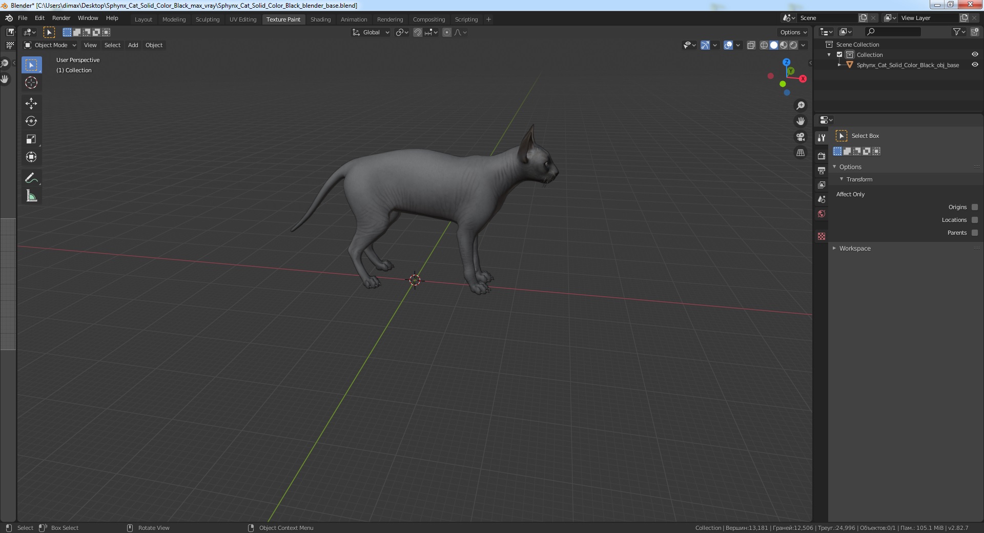 3D Sphynx Cat Solid Color Black model