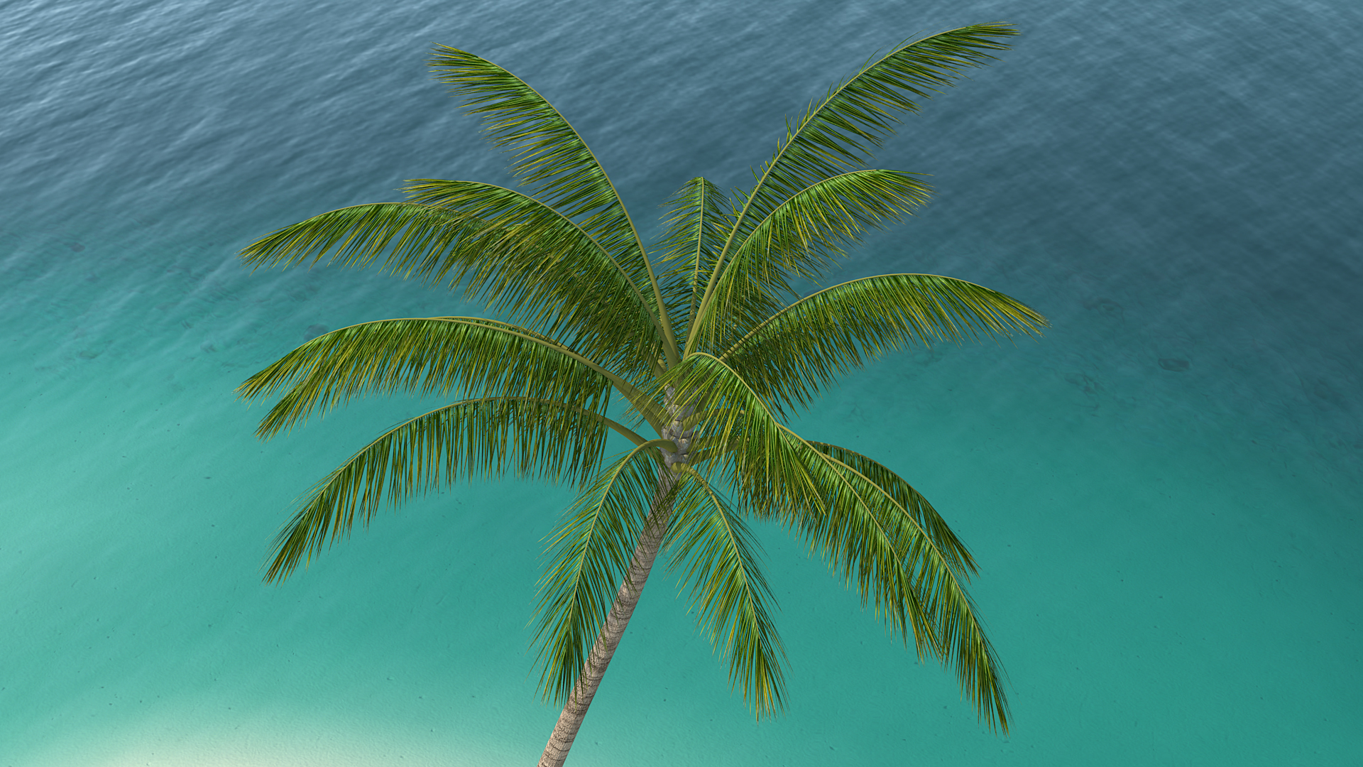 Small Island in Ocean with Palms 3D