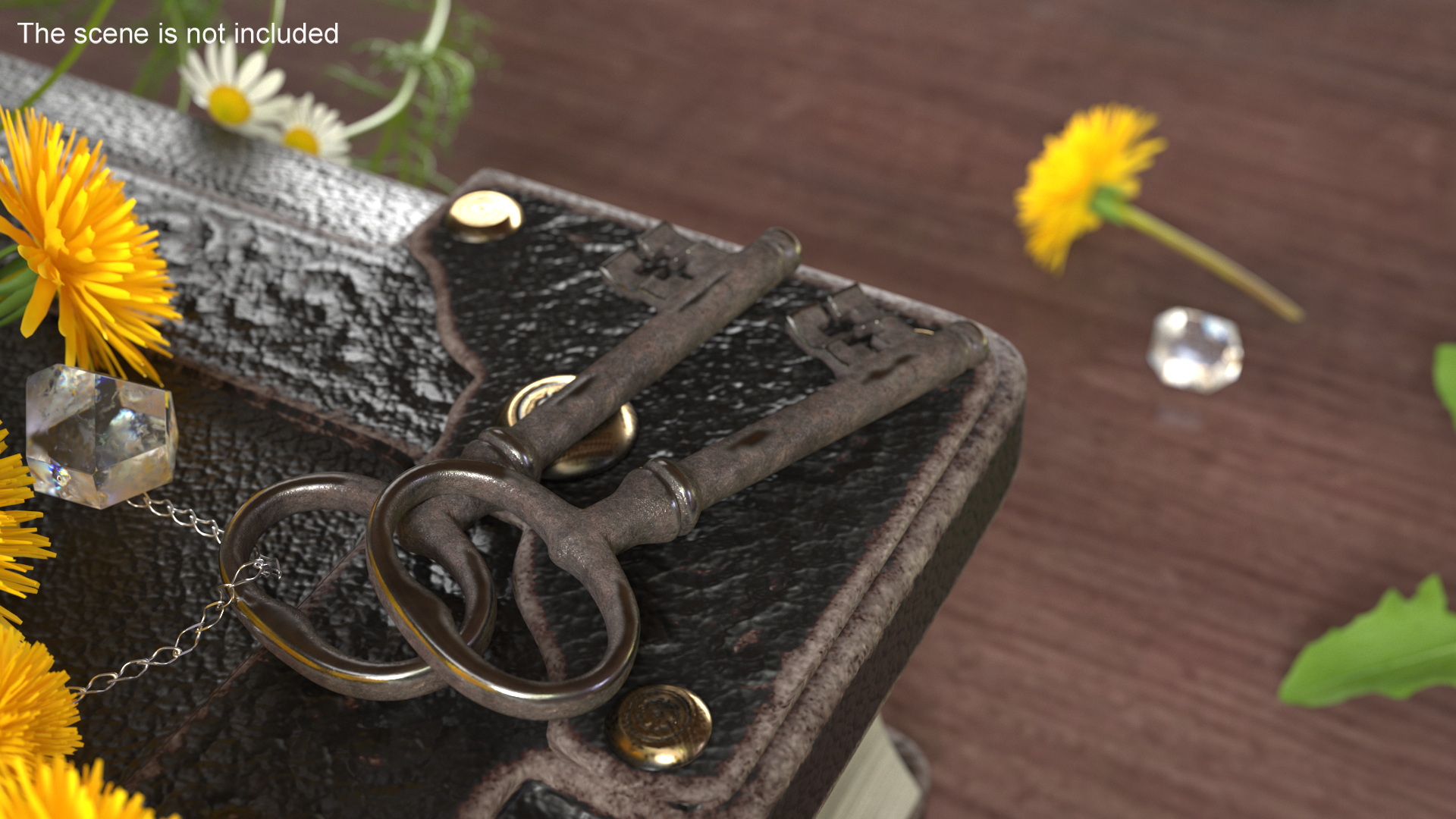 3D Classic Skeleton Key Steel