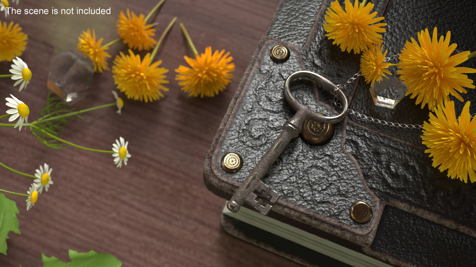 3D Classic Skeleton Key Steel