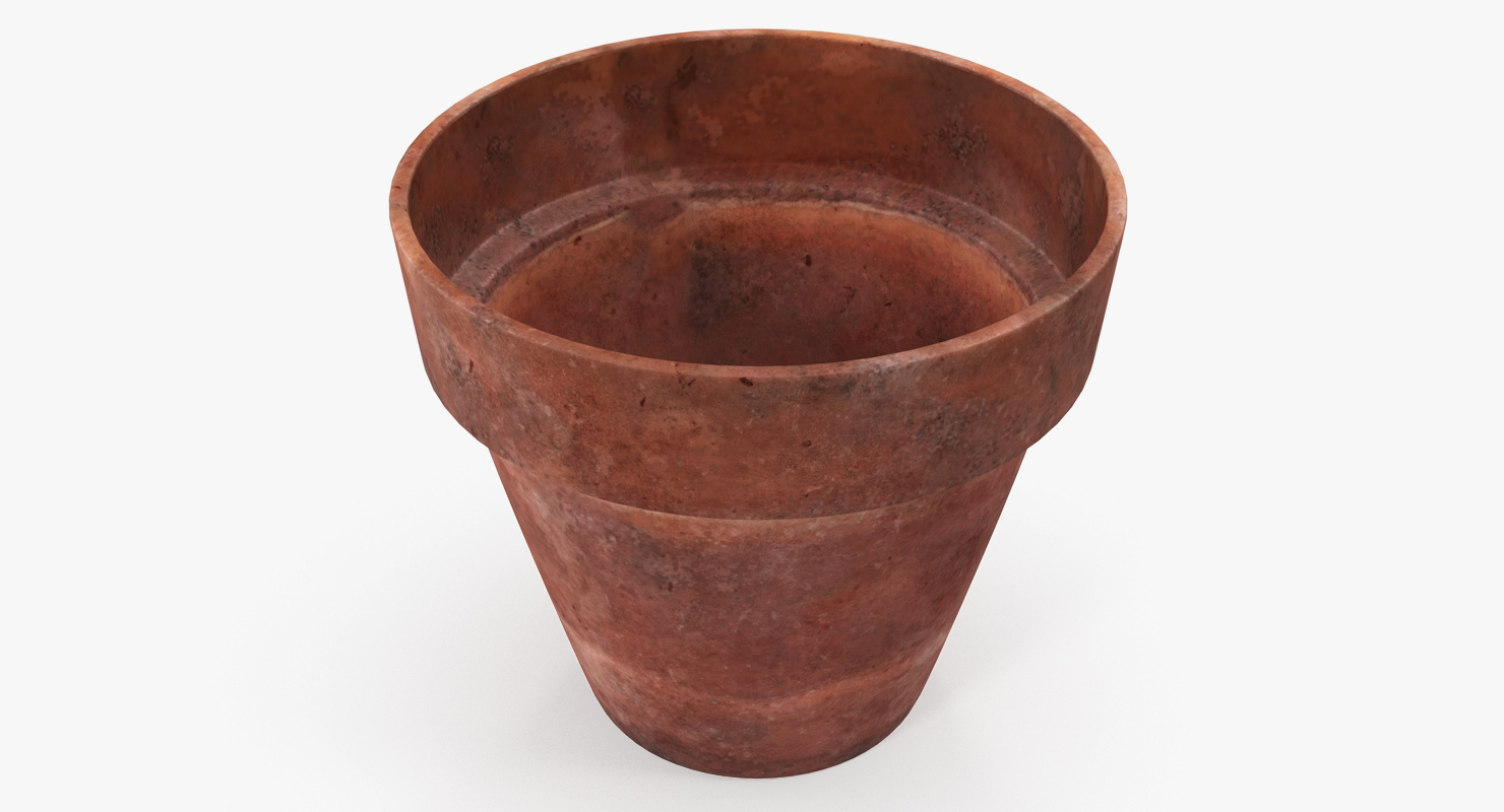 3D model Terracotta Plant Pot