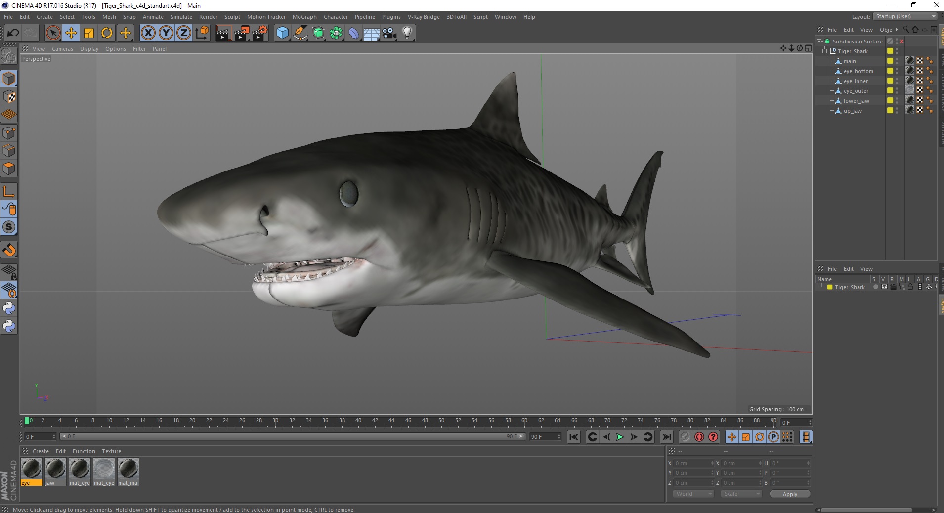 3D Tiger Shark