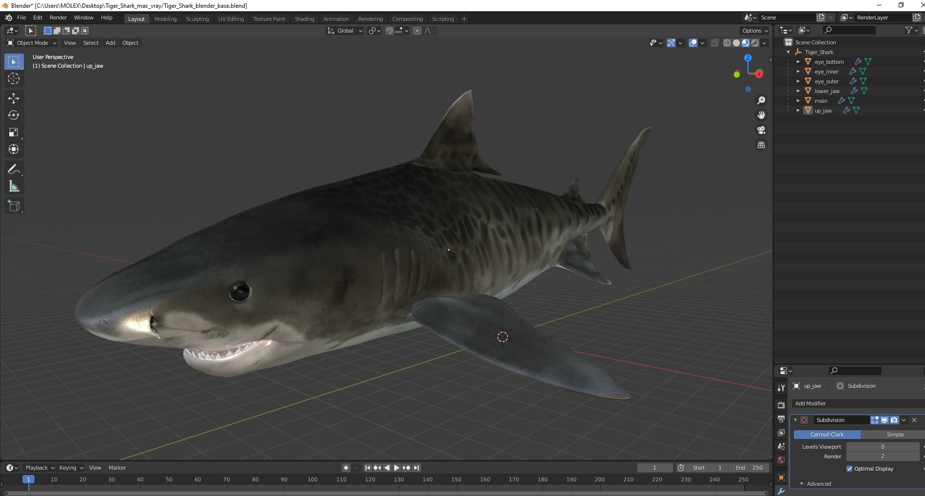 3D Tiger Shark