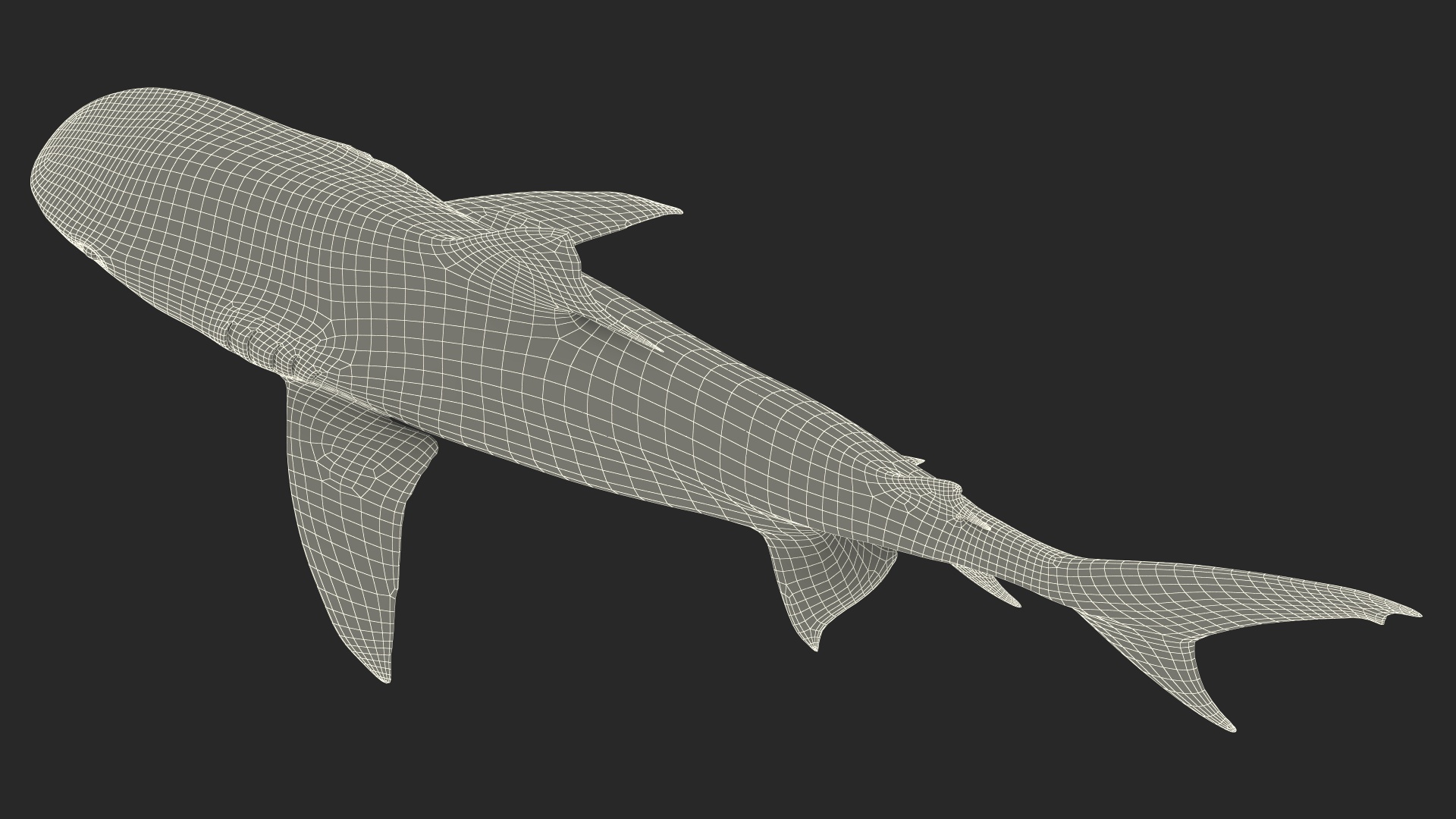 3D Tiger Shark