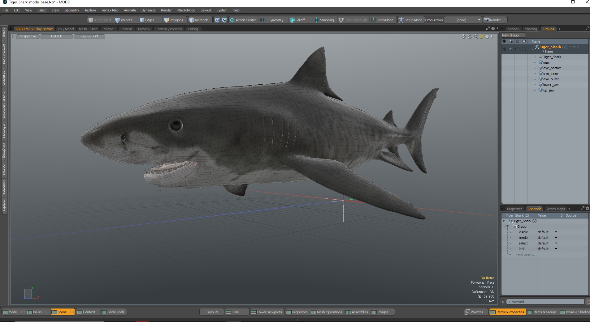 3D Tiger Shark
