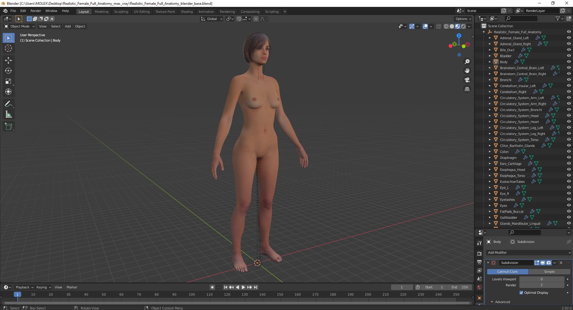 Realistic Female Full Anatomy 3D model
