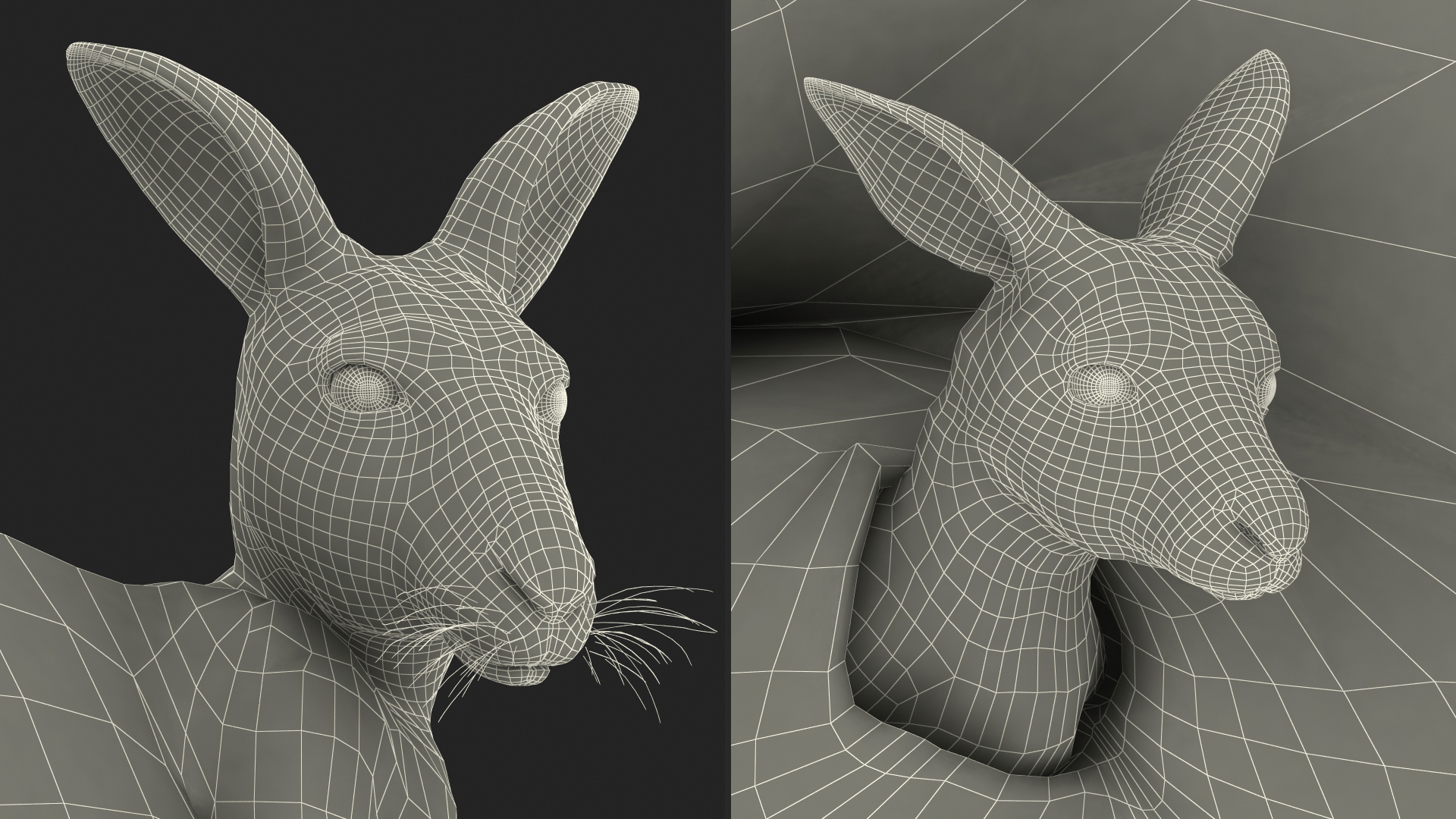 3D model Mother Kangaroo with Baby Lying Fur
