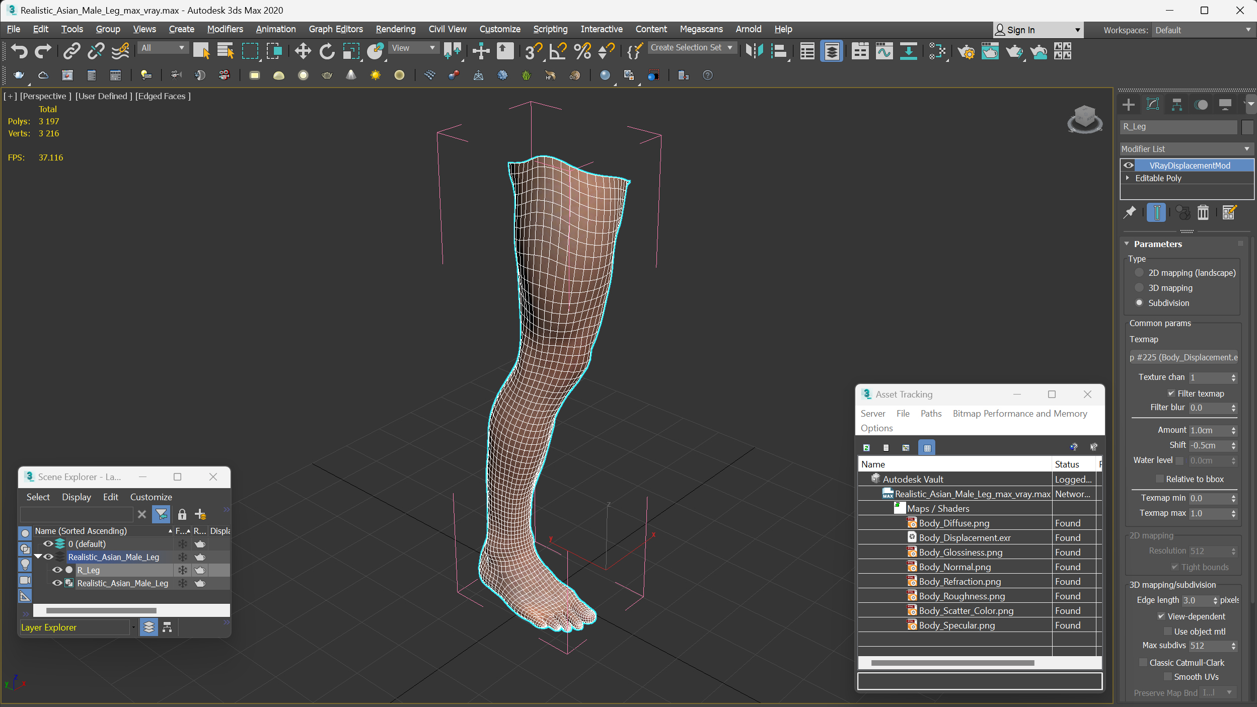 Realistic Asian Male Leg 3D model