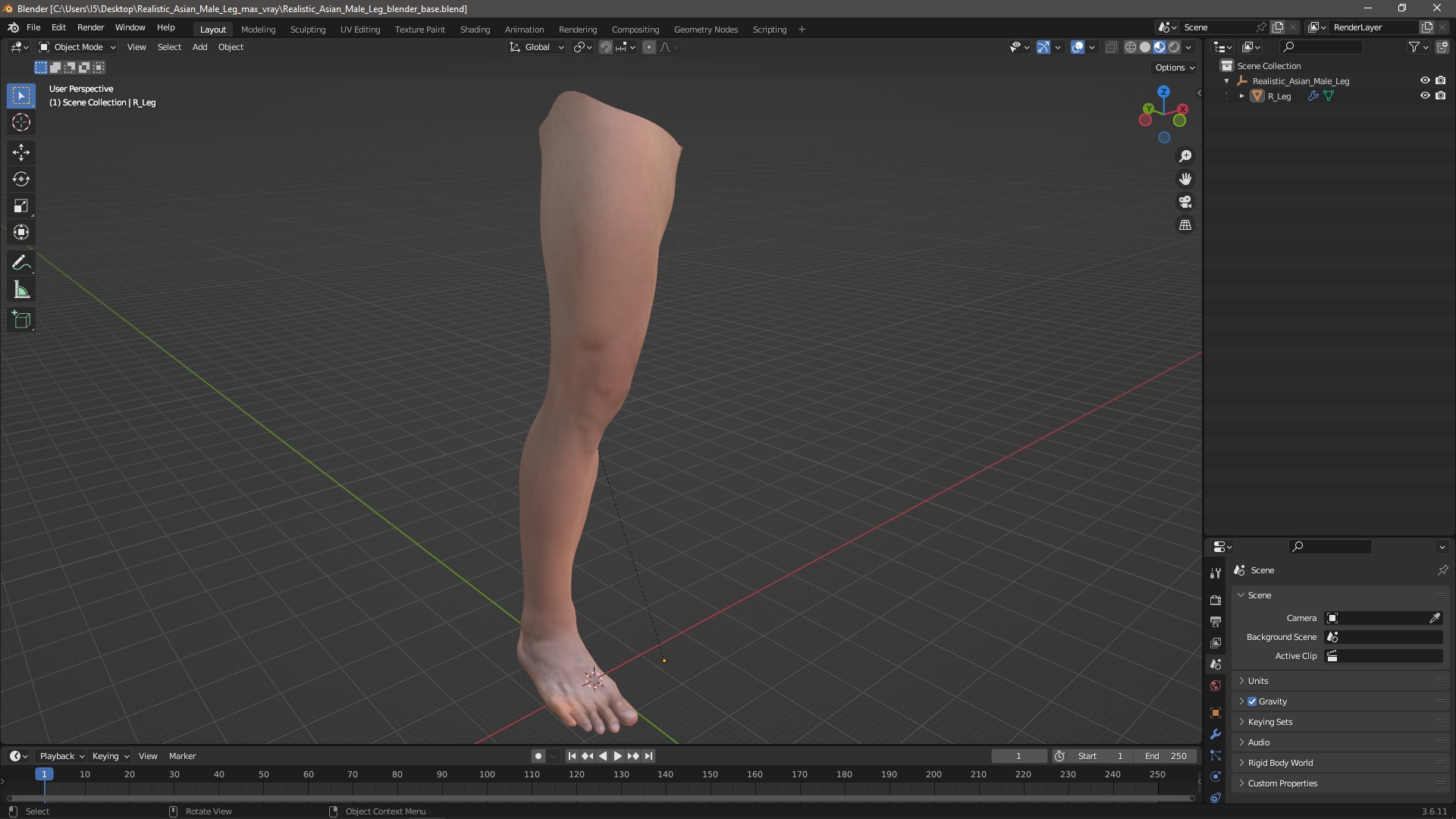 Realistic Asian Male Leg 3D model