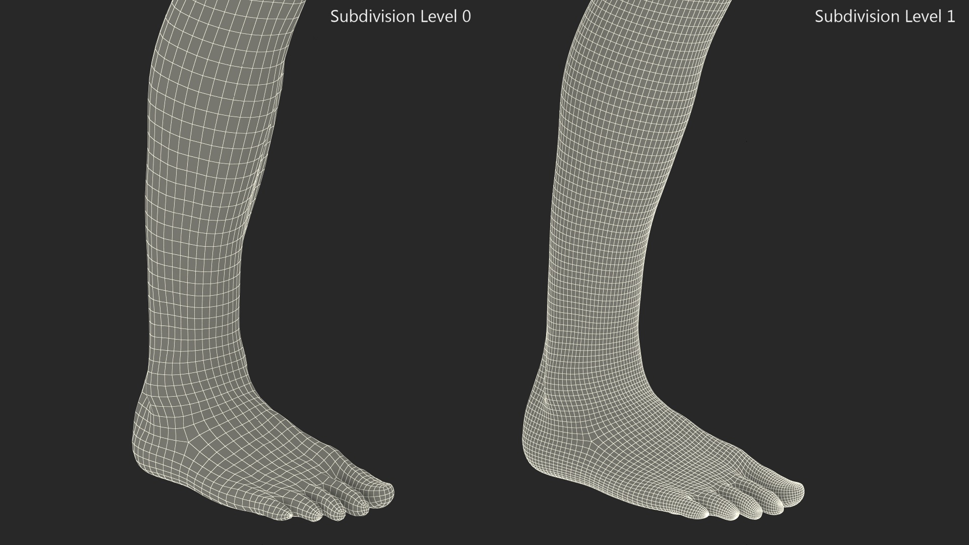 Realistic Asian Male Leg 3D model