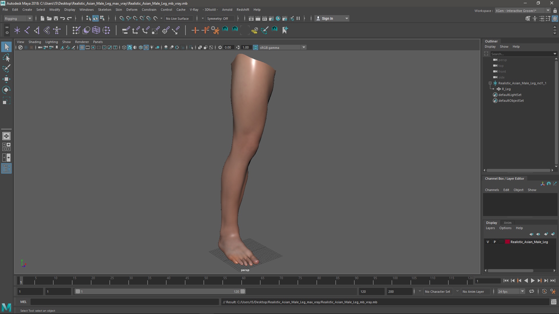 Realistic Asian Male Leg 3D model