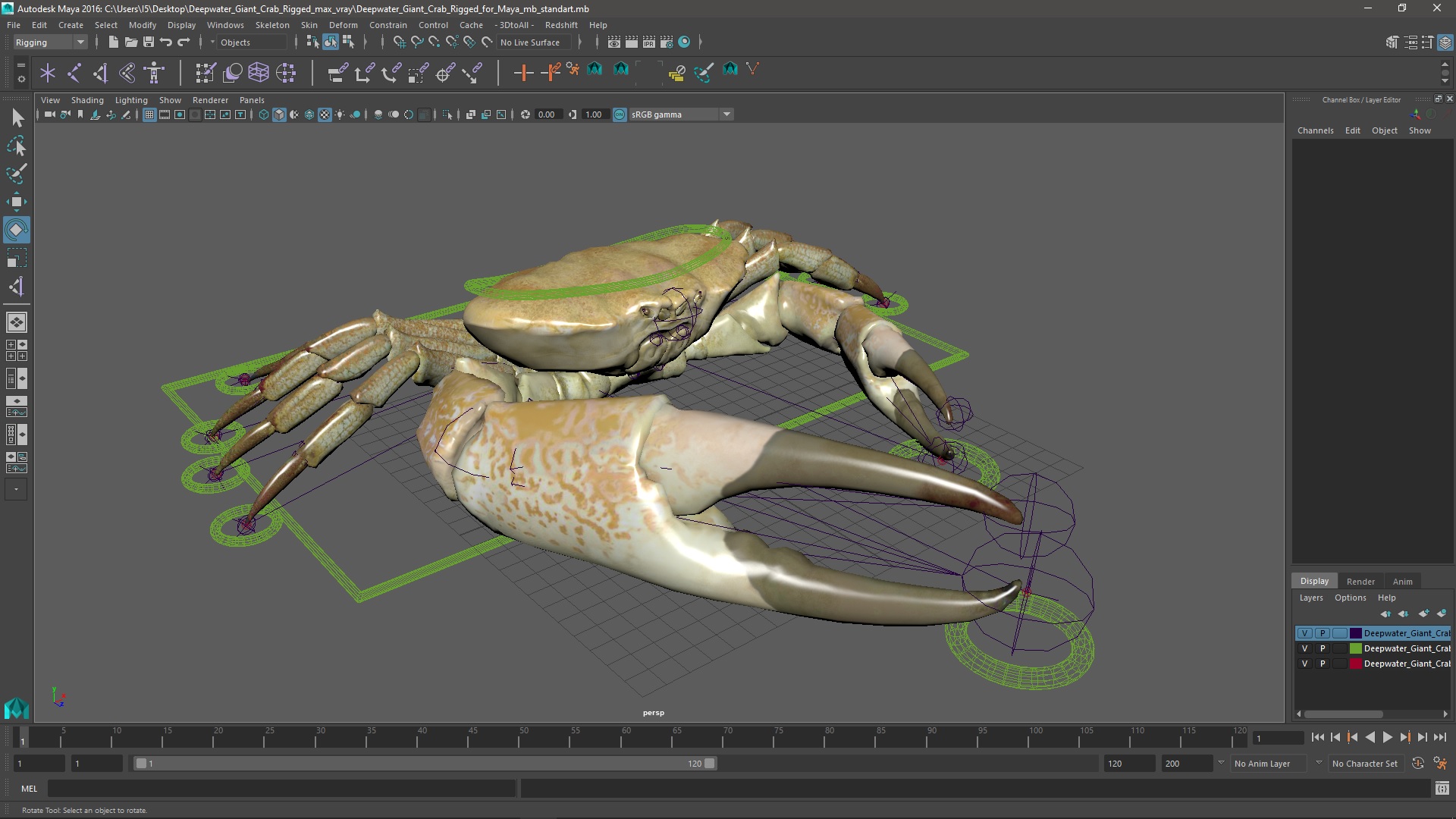 3D Deepwater Giant Crab Rigged for Maya