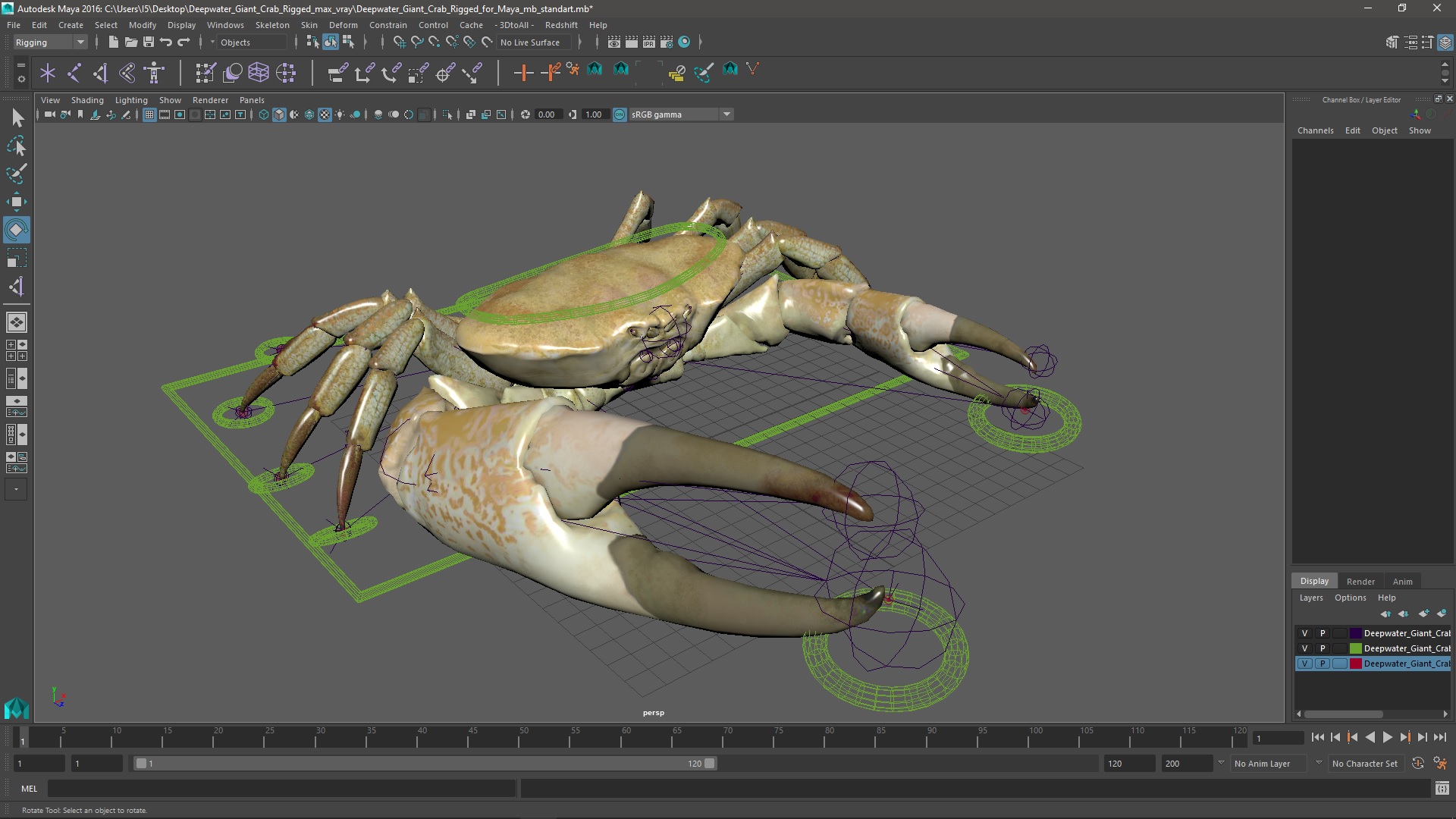 3D Deepwater Giant Crab Rigged for Maya