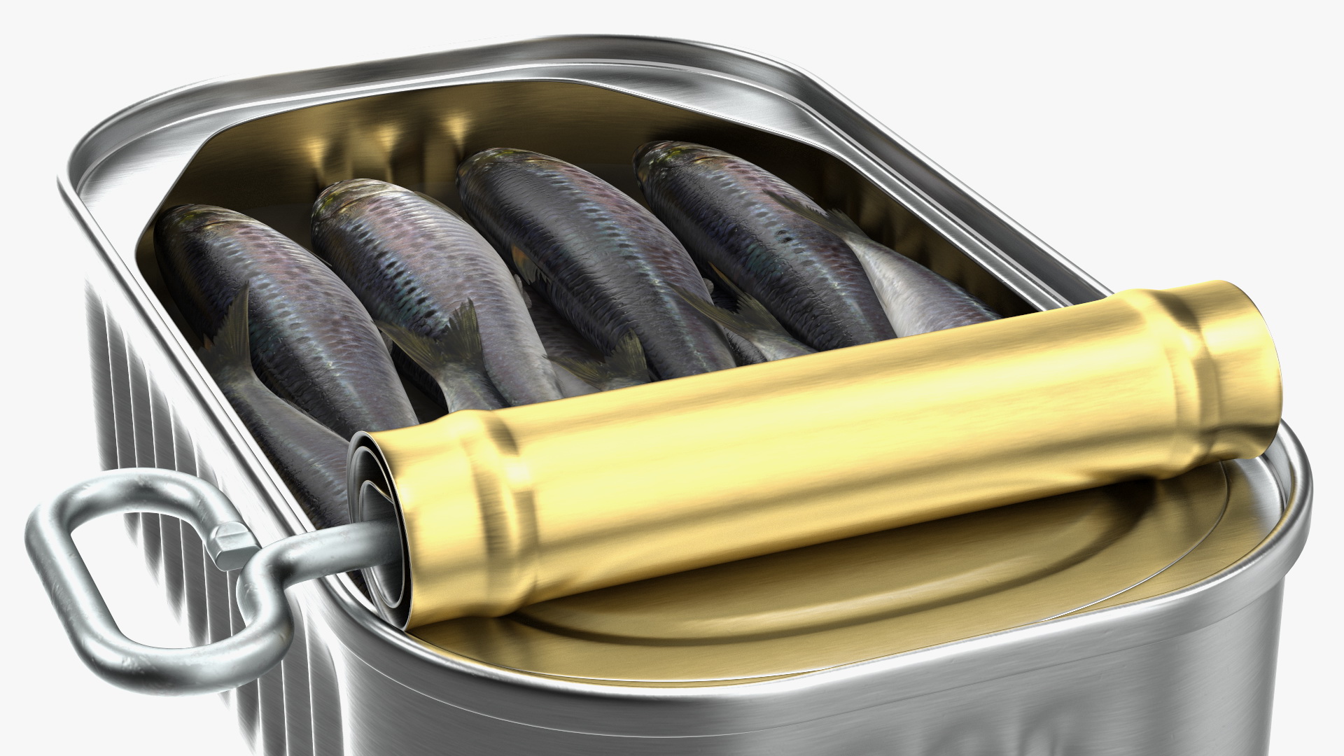 3D Canned Sardine Opened with Twist Key