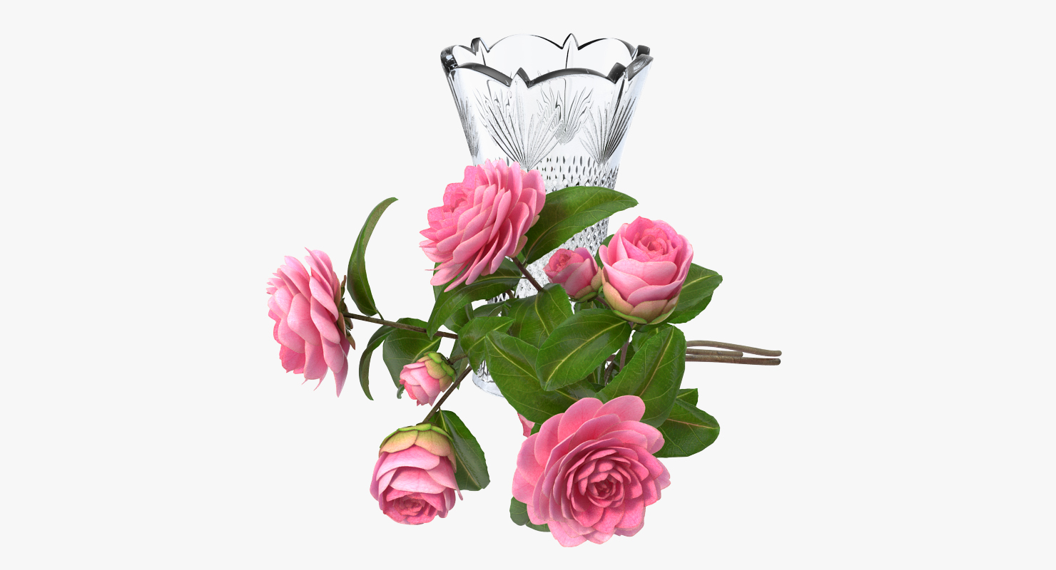 Camellia Bouquet Pink in Vase 3D model
