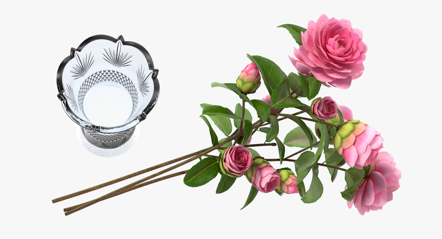 Camellia Bouquet Pink in Vase 3D model