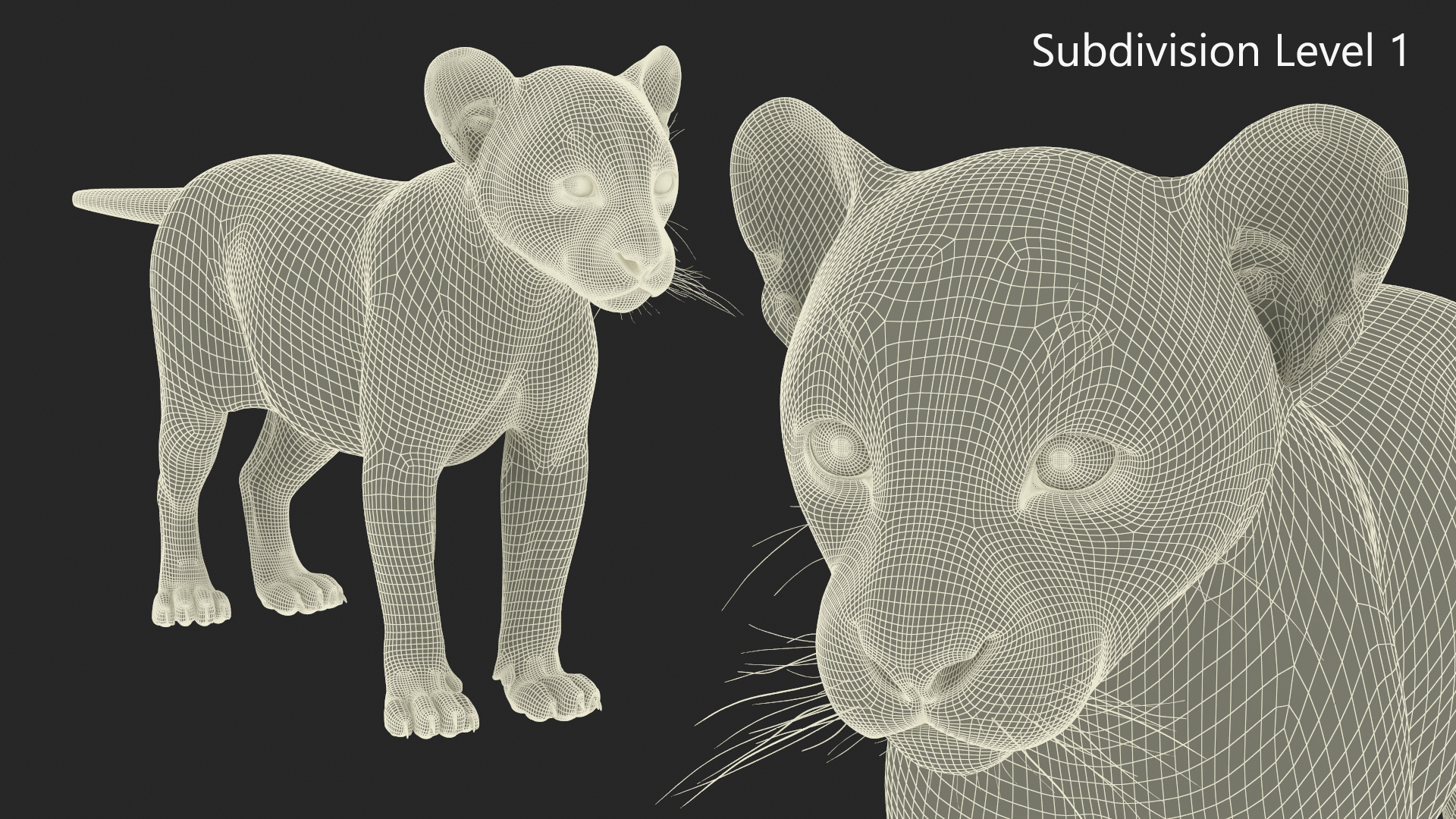 3D model Black Leopard Cub Standing Pose with Fur