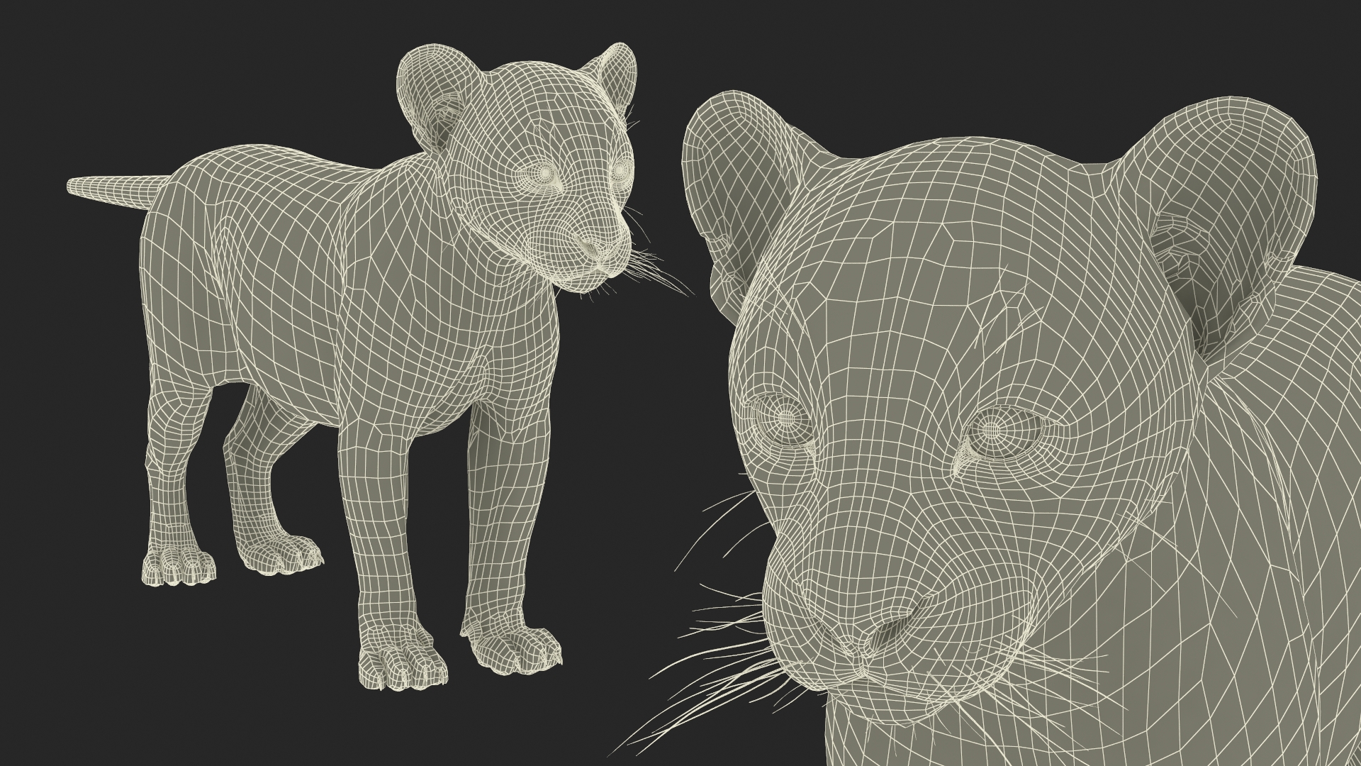 3D model Black Leopard Cub Standing Pose with Fur