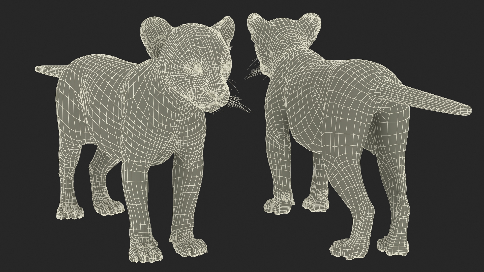 3D model Black Leopard Cub Standing Pose with Fur