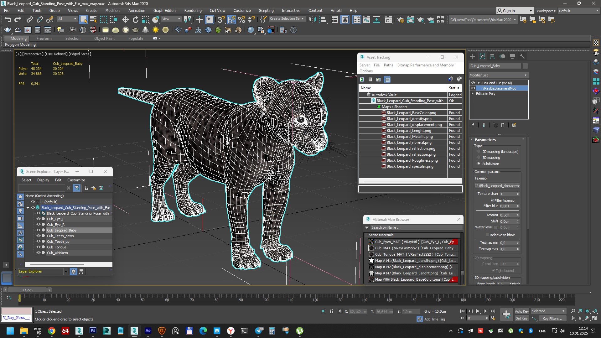 3D model Black Leopard Cub Standing Pose with Fur