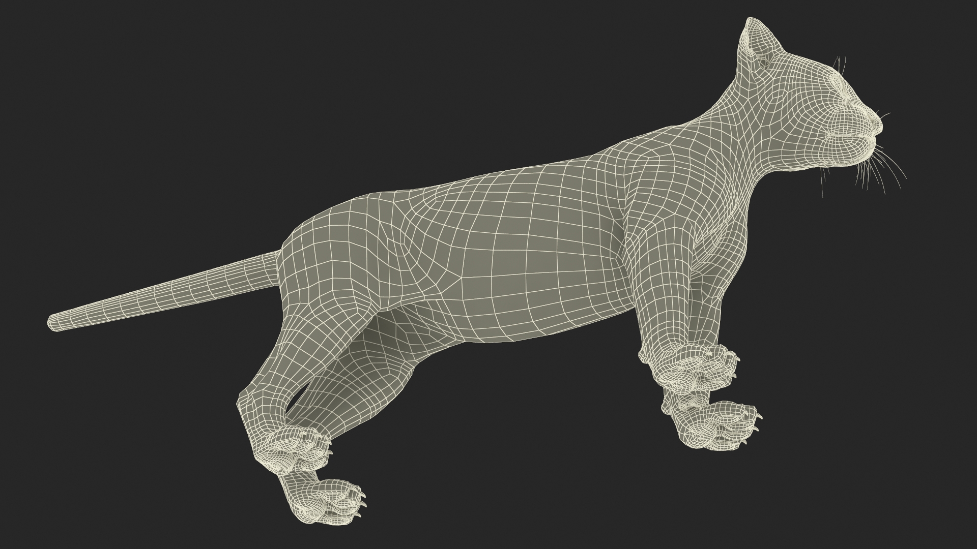 3D model Black Leopard Cub Standing Pose with Fur
