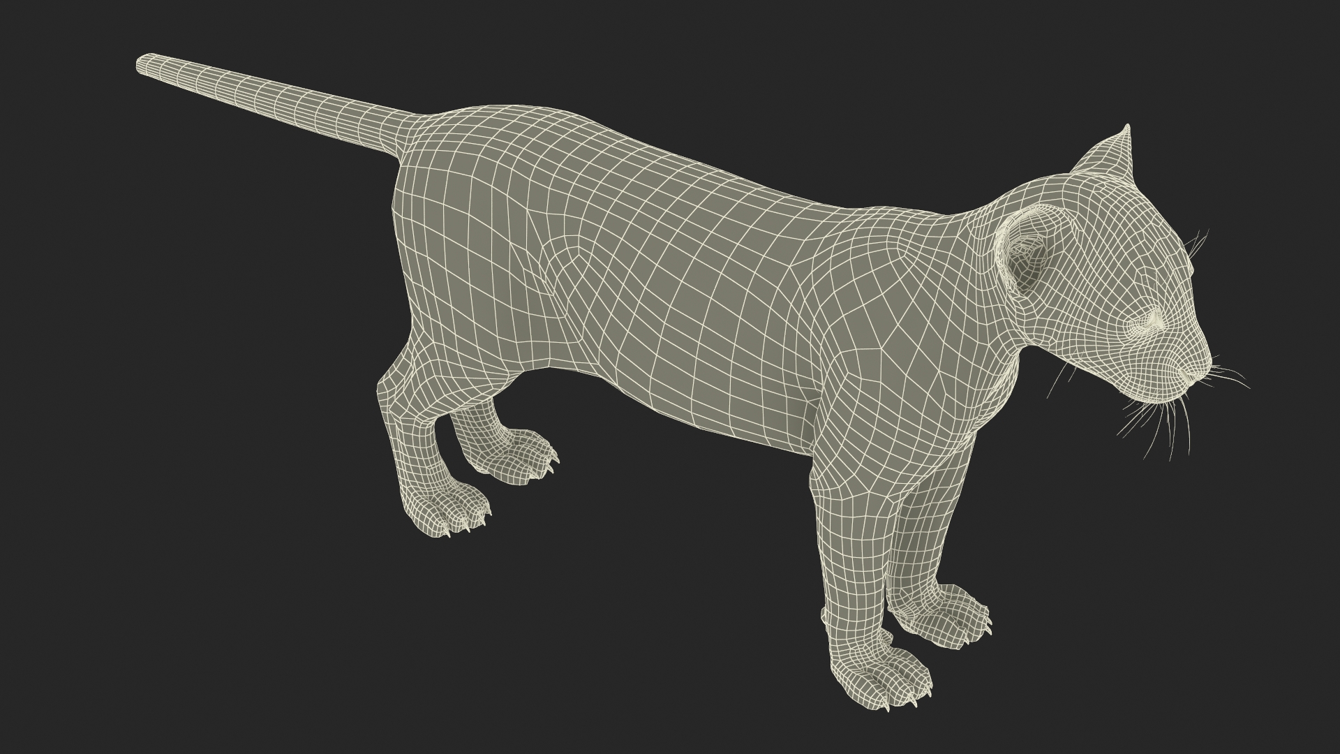 3D model Black Leopard Cub Standing Pose with Fur