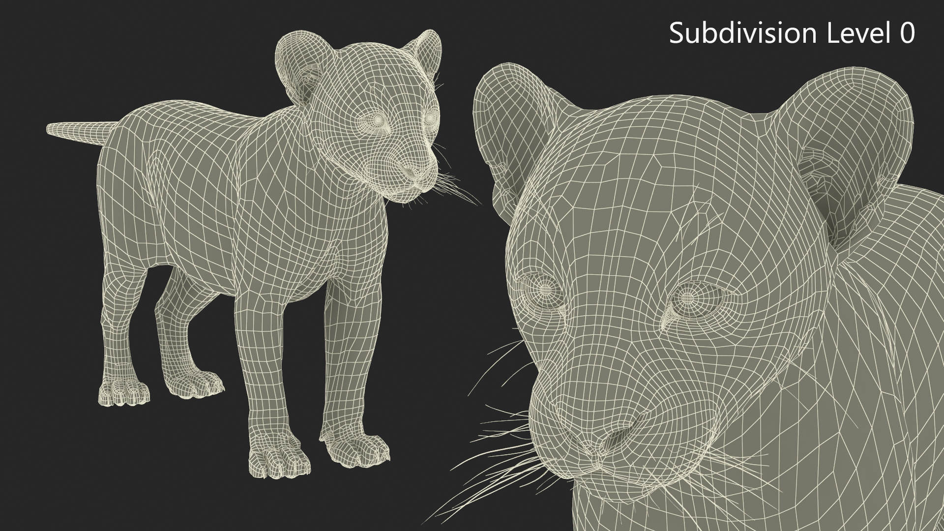 3D model Black Leopard Cub Standing Pose with Fur