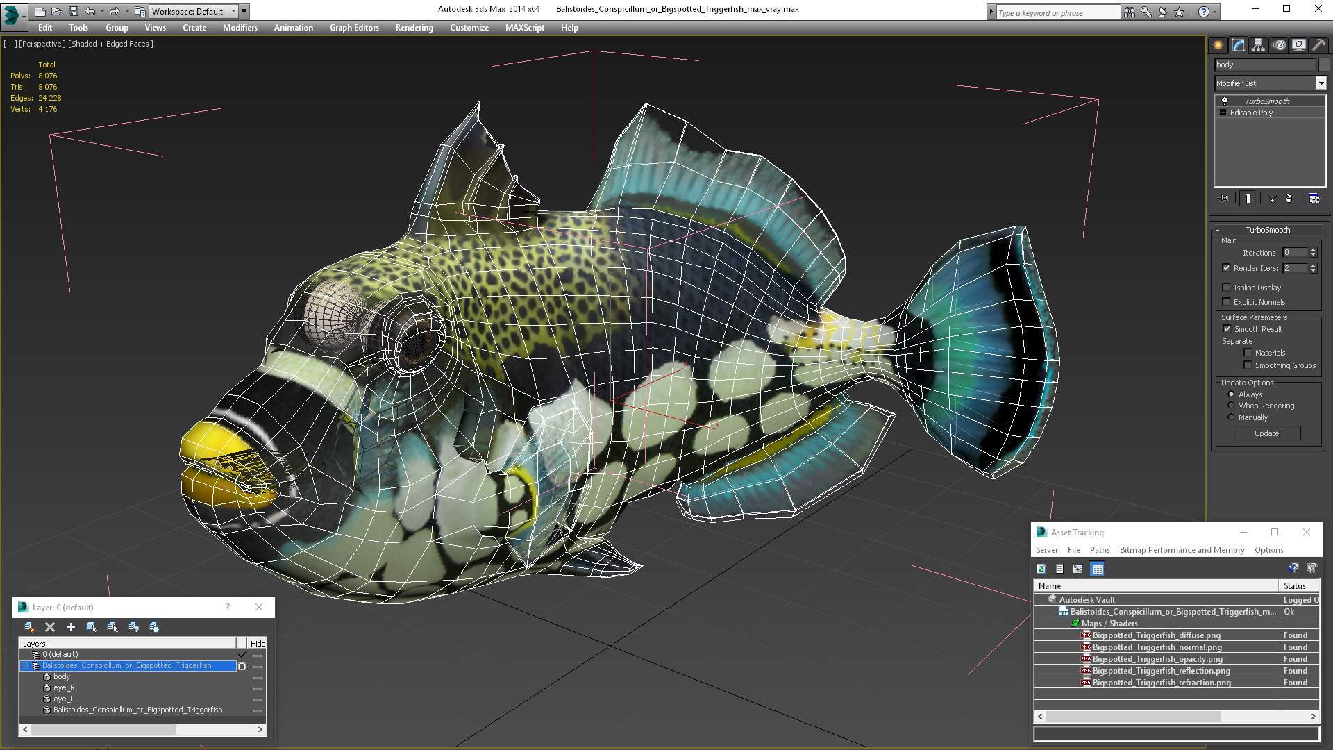 3D model Balistoides Conspicillum or Bigspotted Triggerfish