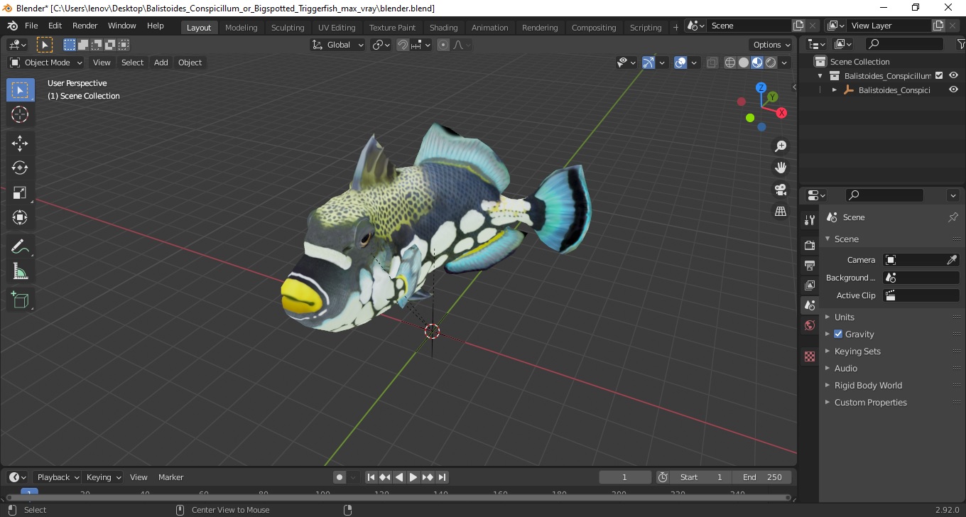 3D model Balistoides Conspicillum or Bigspotted Triggerfish