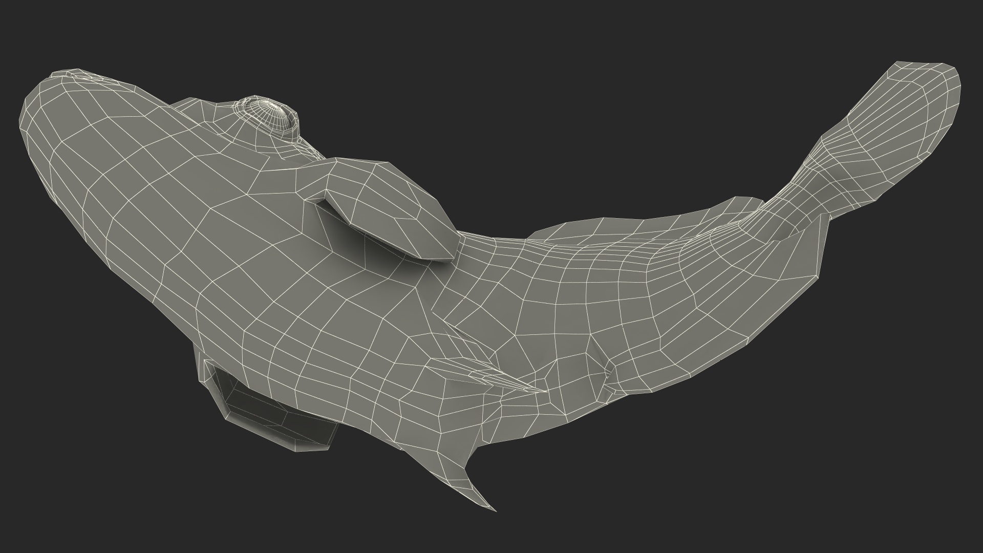 3D model Balistoides Conspicillum or Bigspotted Triggerfish