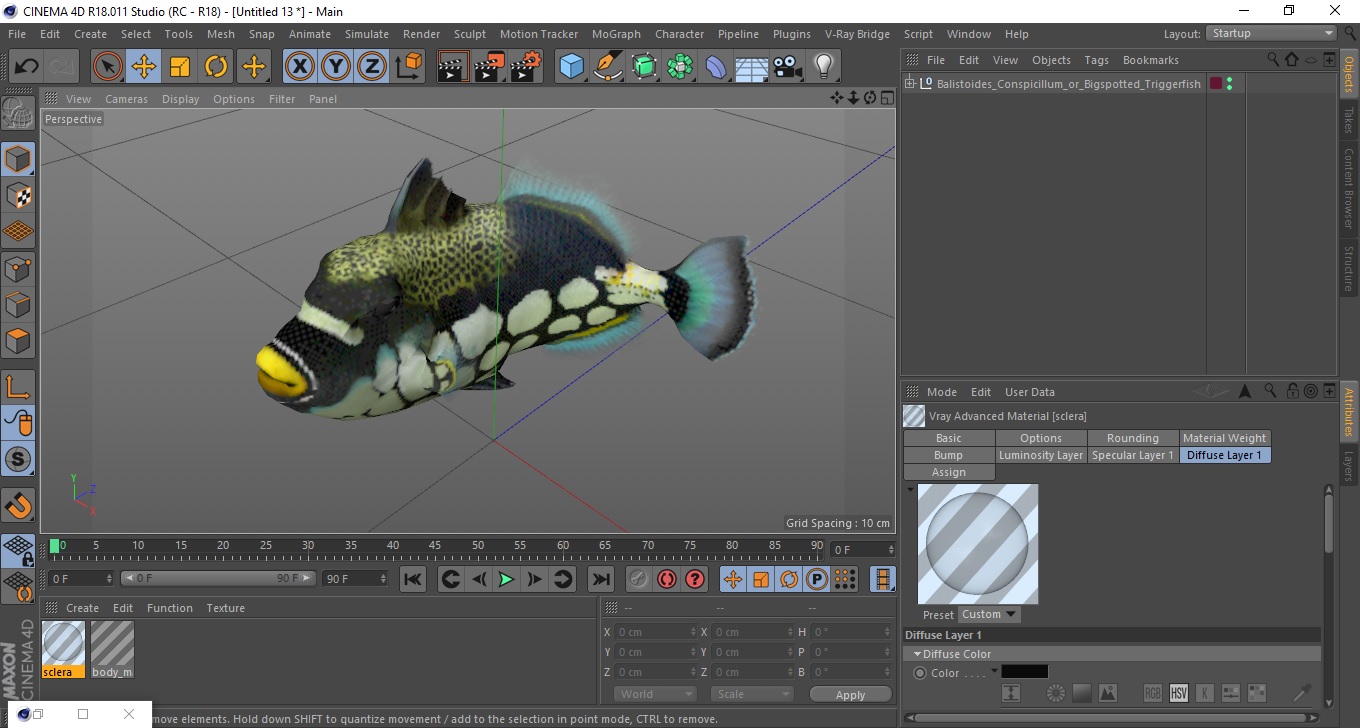 3D model Balistoides Conspicillum or Bigspotted Triggerfish