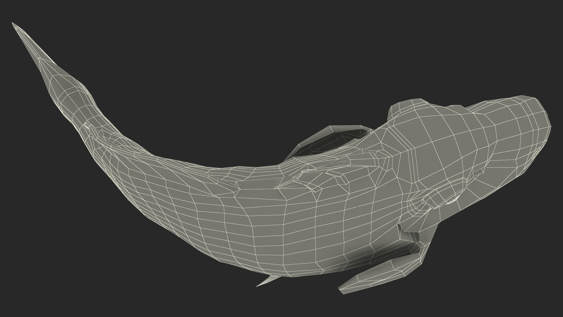 3D model Balistoides Conspicillum or Bigspotted Triggerfish