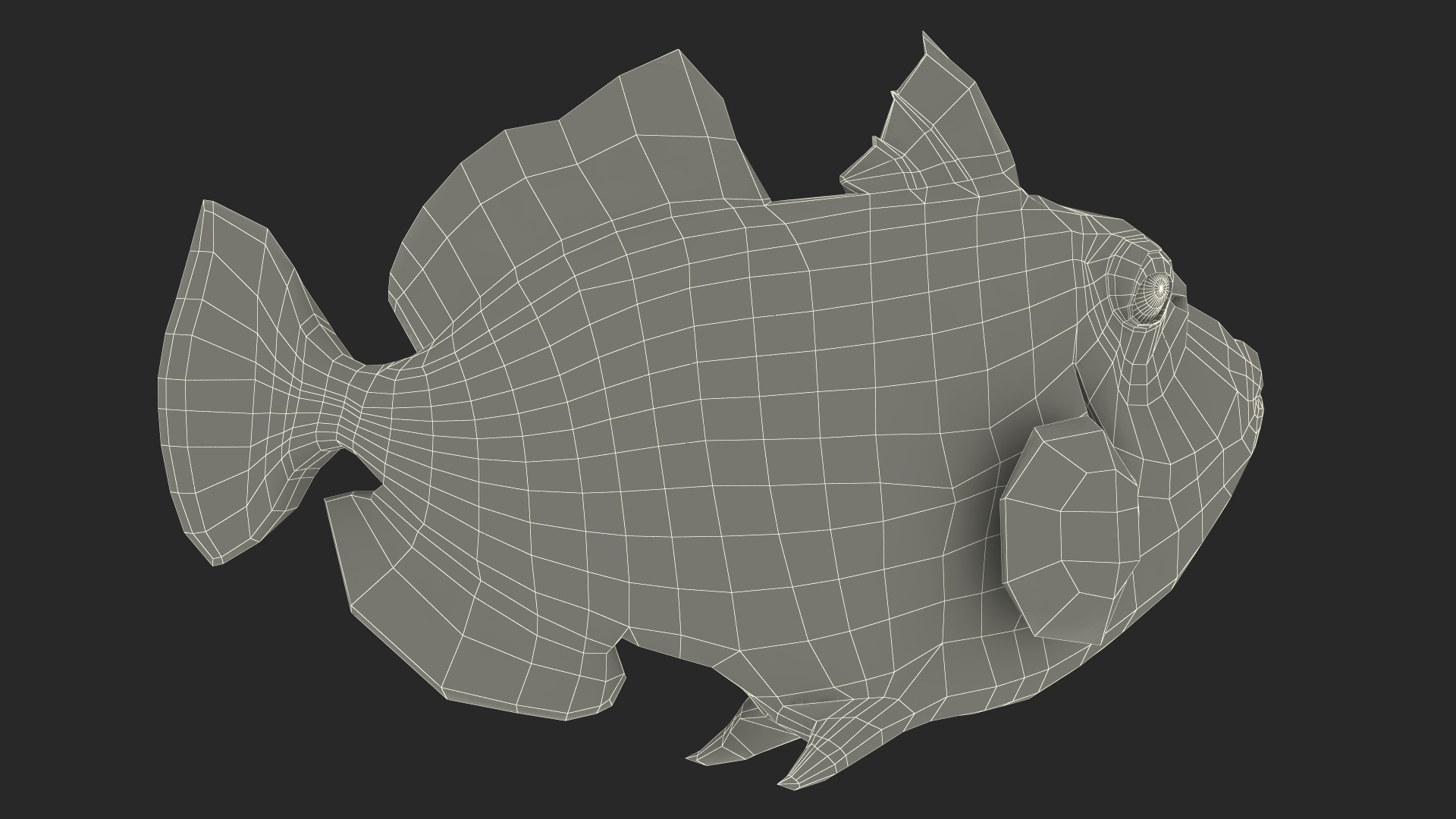 3D model Balistoides Conspicillum or Bigspotted Triggerfish