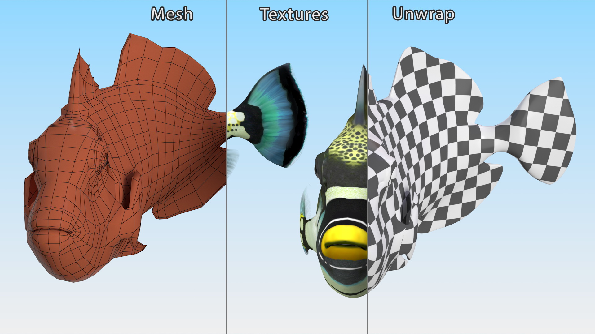 3D model Balistoides Conspicillum or Bigspotted Triggerfish