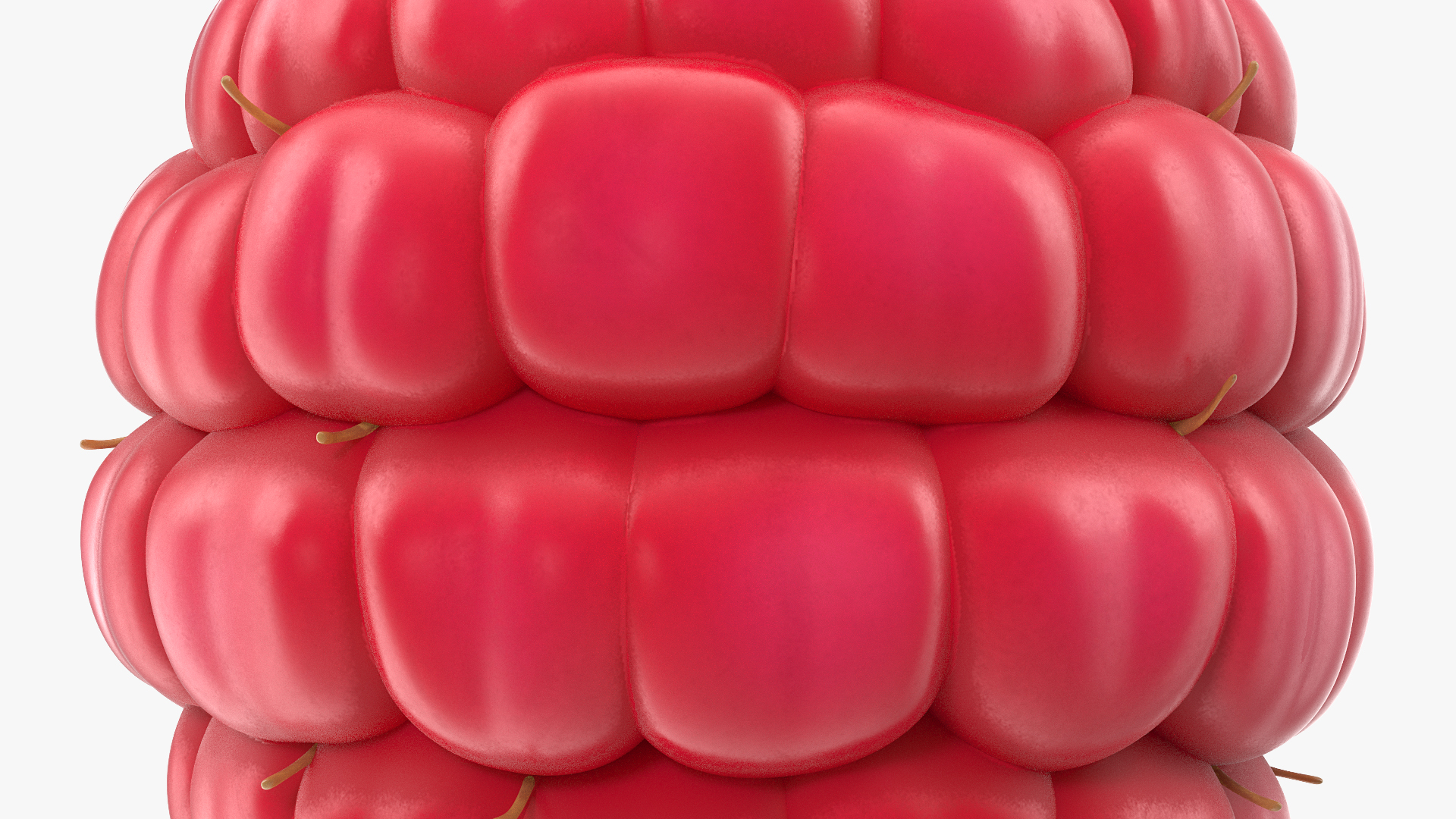 3D model Fresh Raspberry