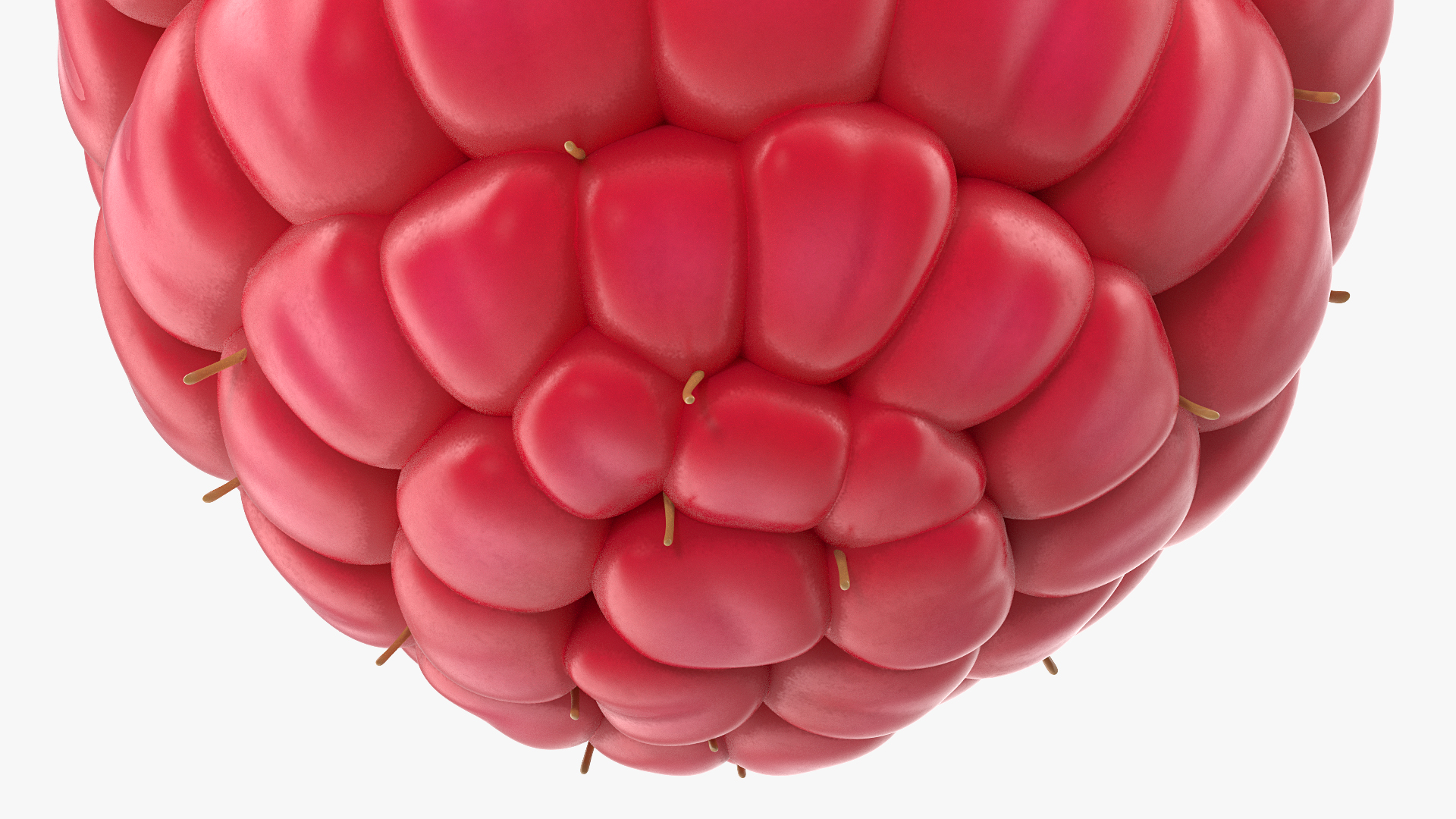 3D model Fresh Raspberry