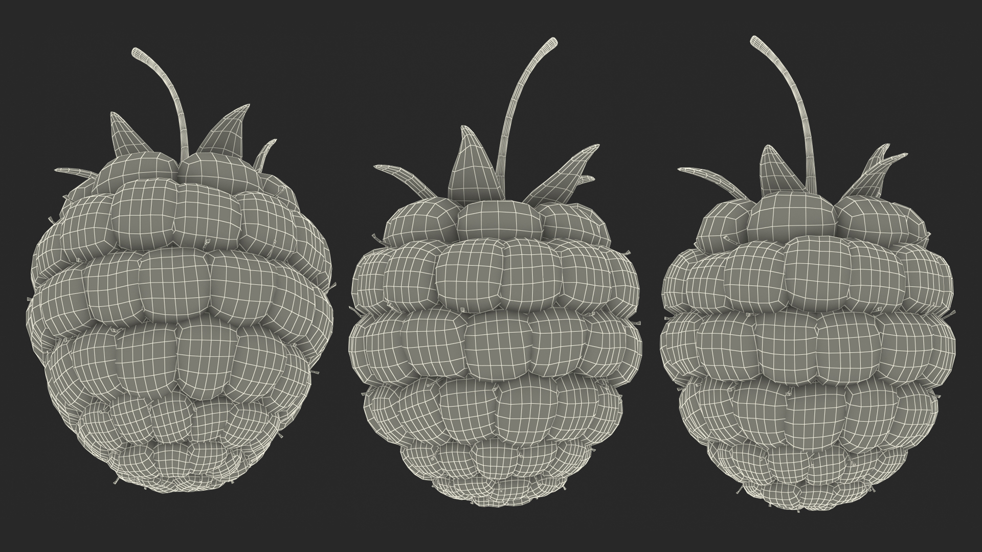 3D model Fresh Raspberry