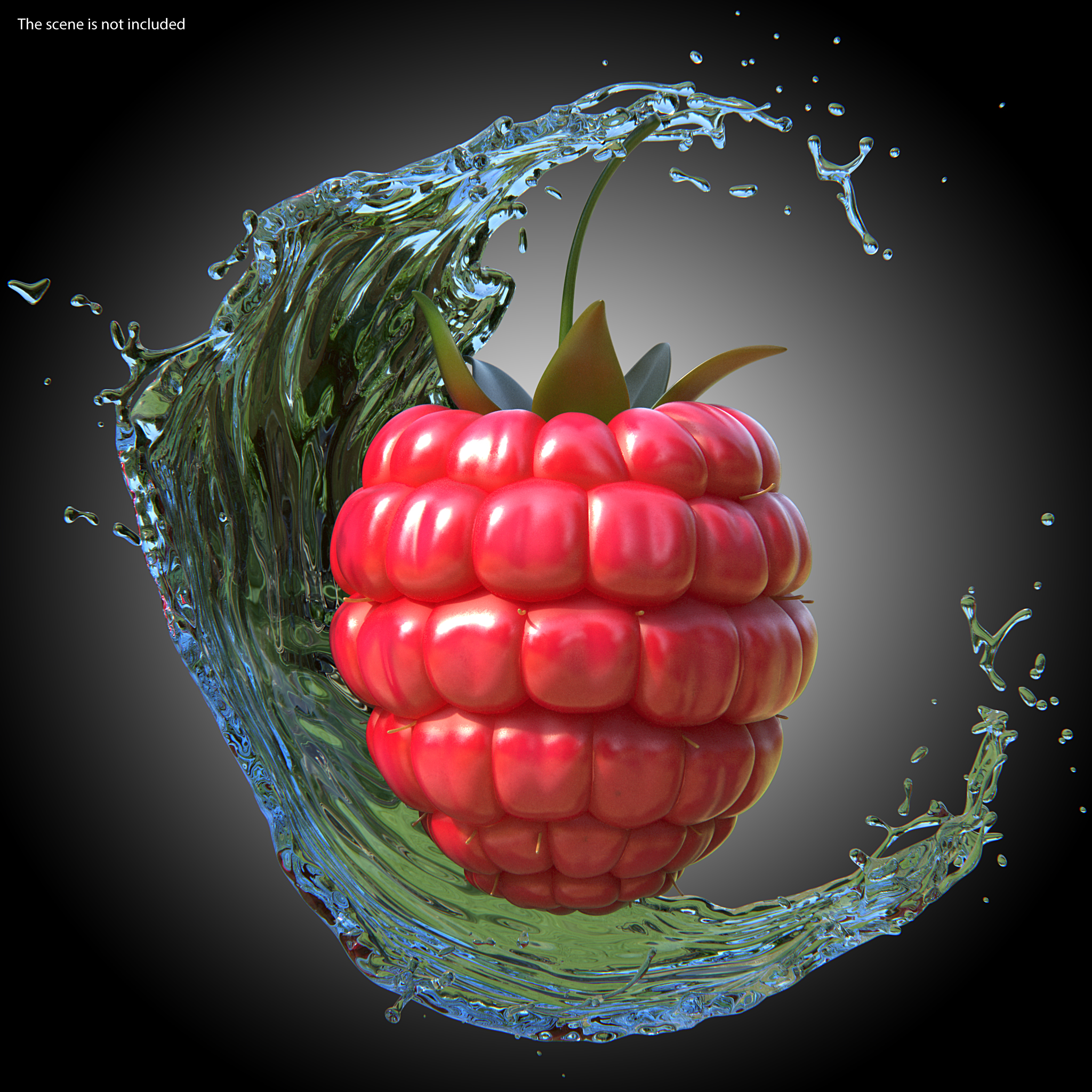 3D model Fresh Raspberry