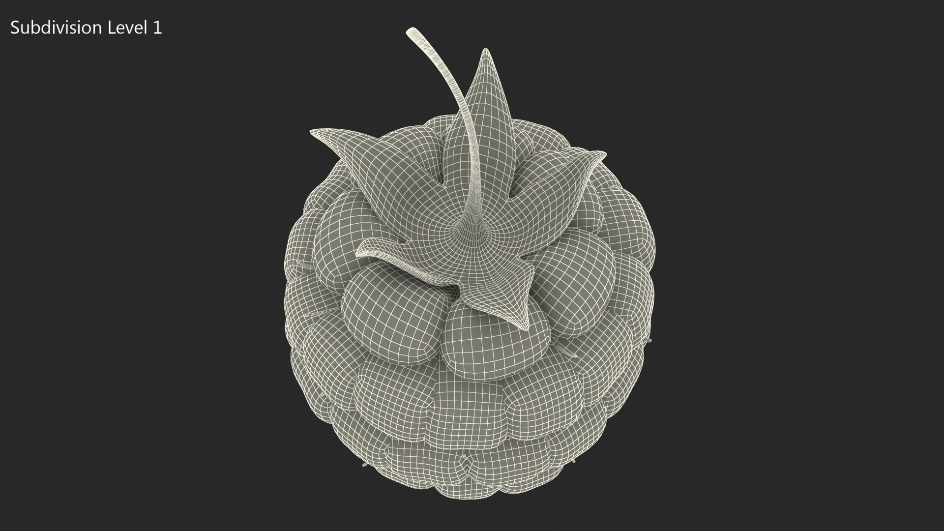 3D model Fresh Raspberry