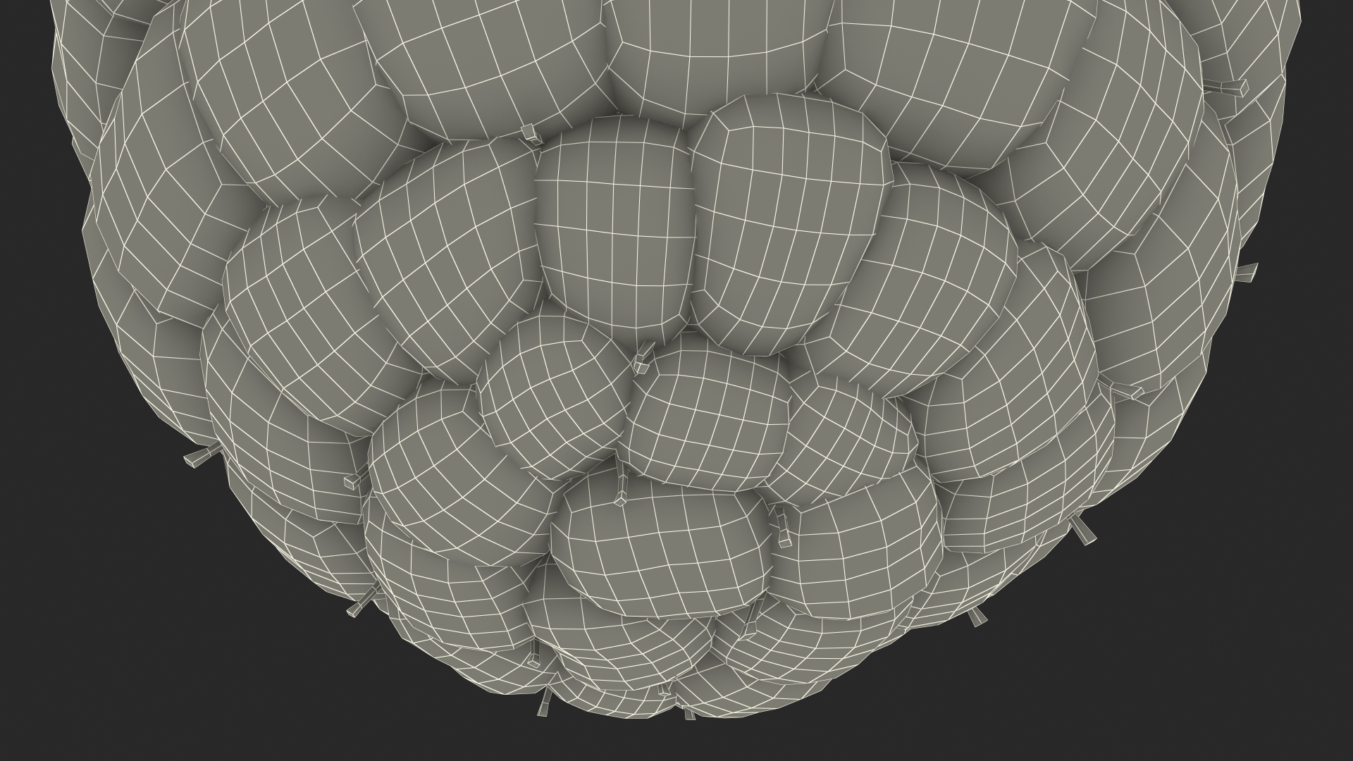 3D model Fresh Raspberry