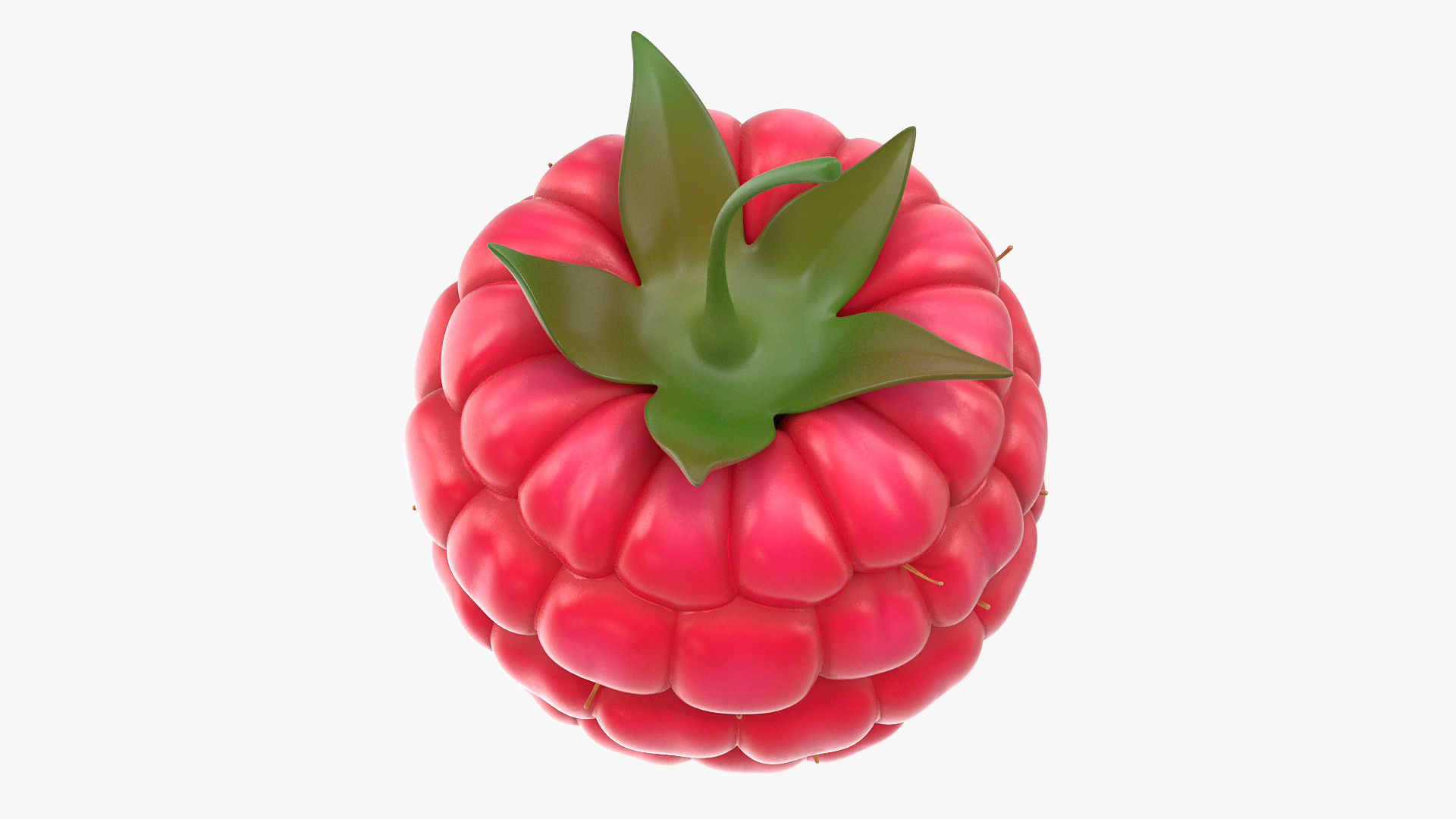 3D model Fresh Raspberry