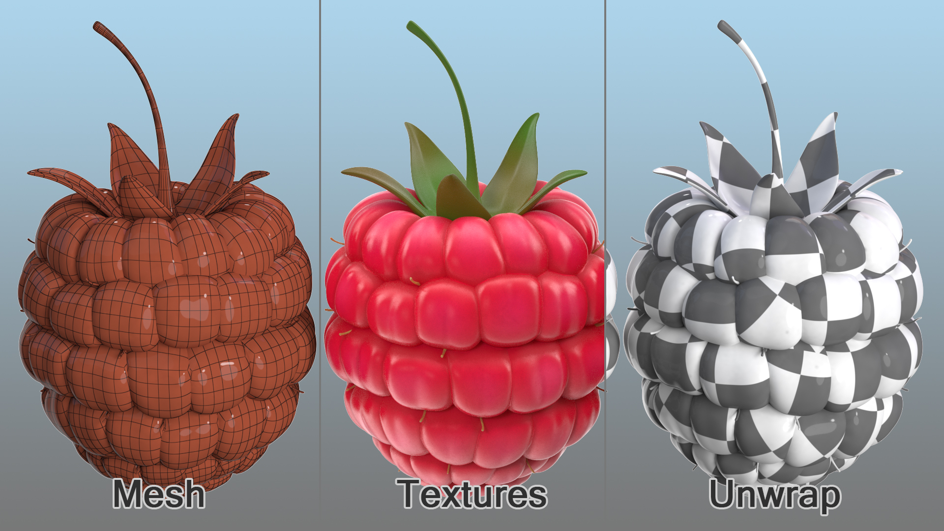 3D model Fresh Raspberry