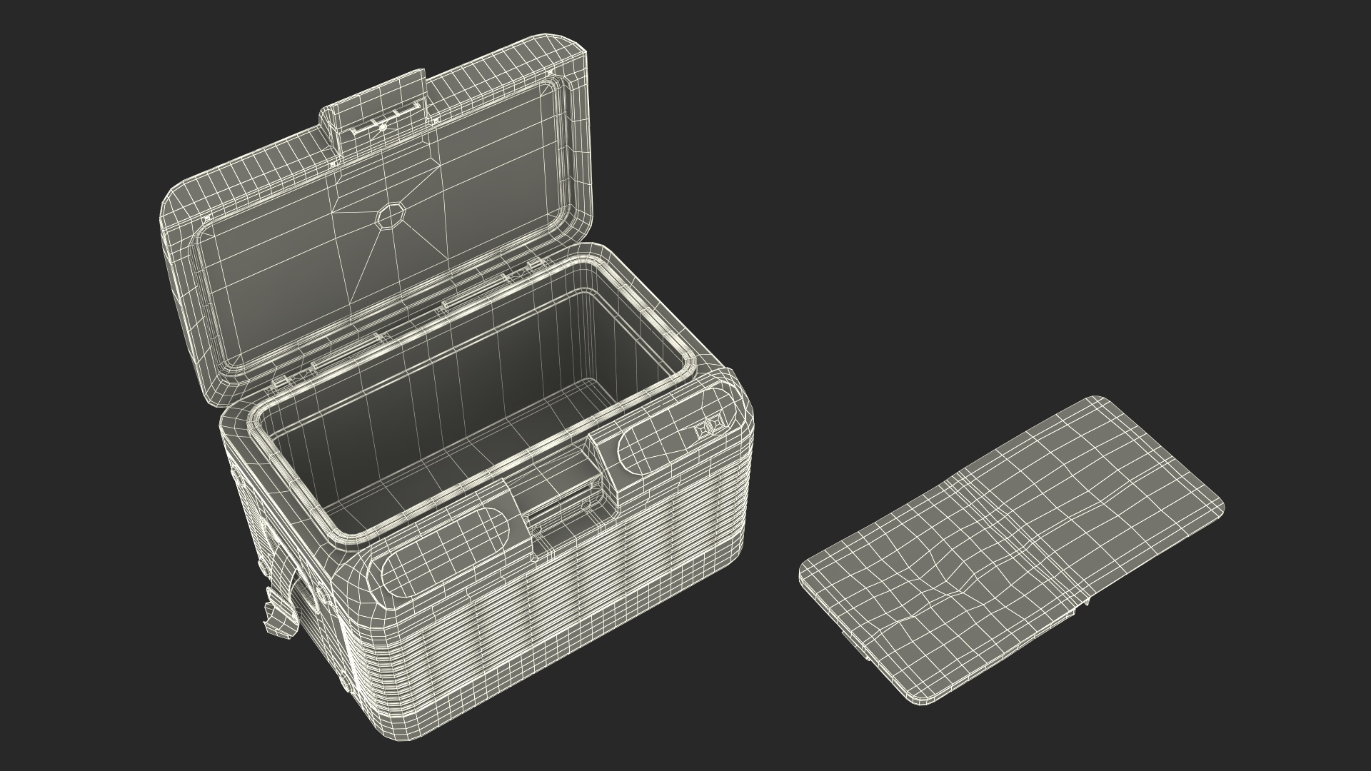 Portable Medication and Vaccine Carrier 3D model